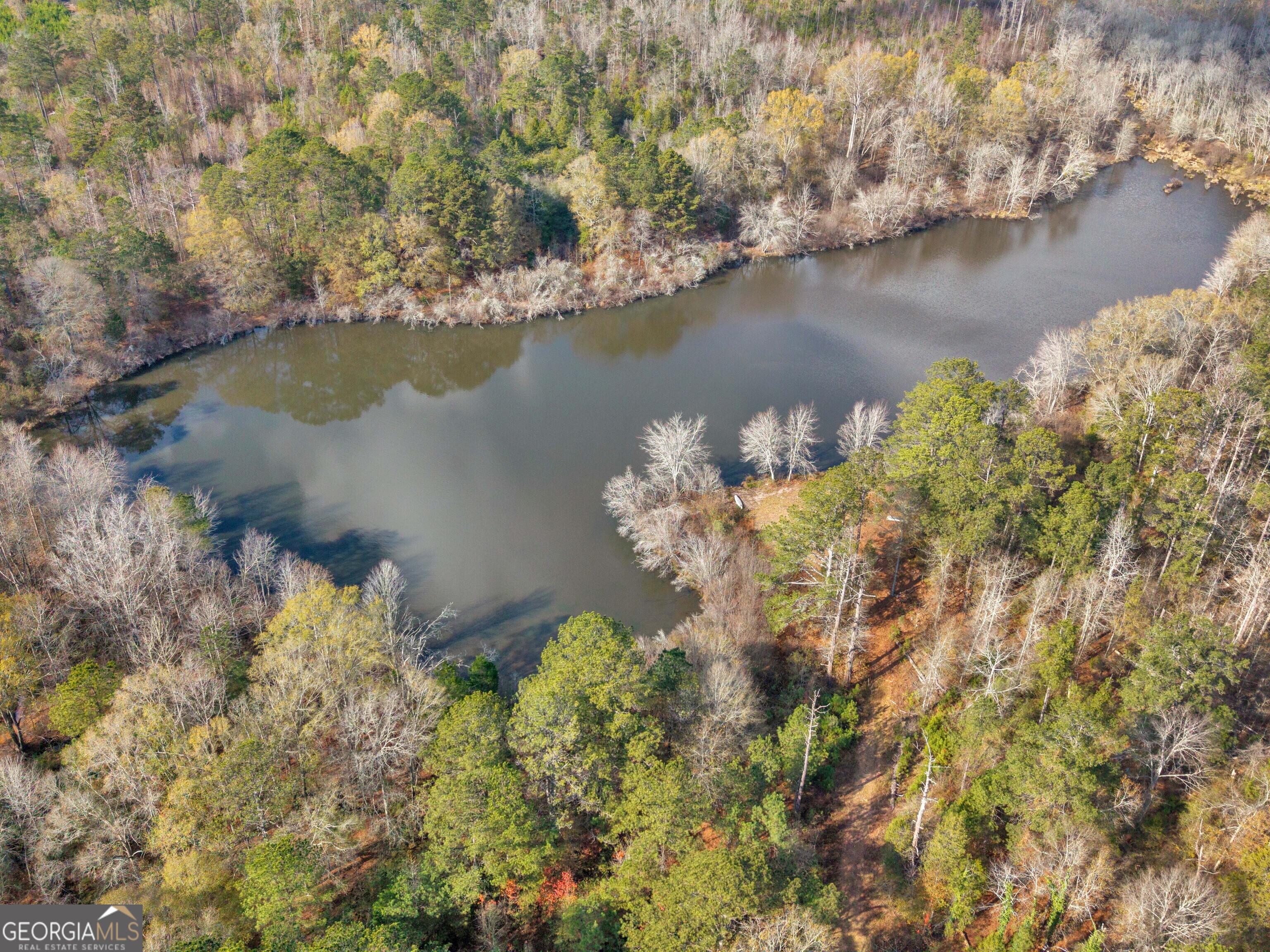 481 Turner Road Concord, GA 30206 - Photo 8 of 49