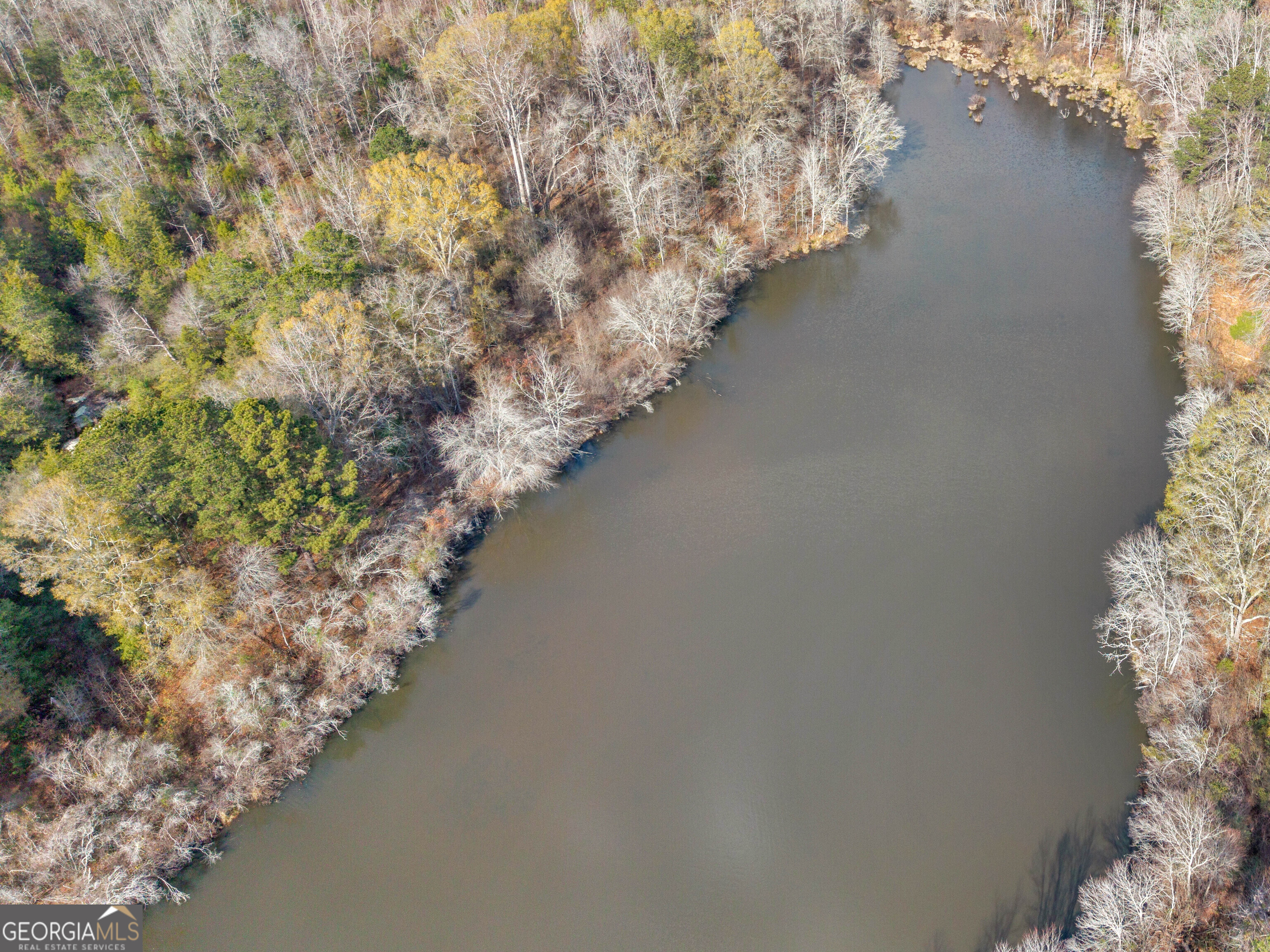 481 Turner Road Concord, GA 30206 - Photo 9 of 49