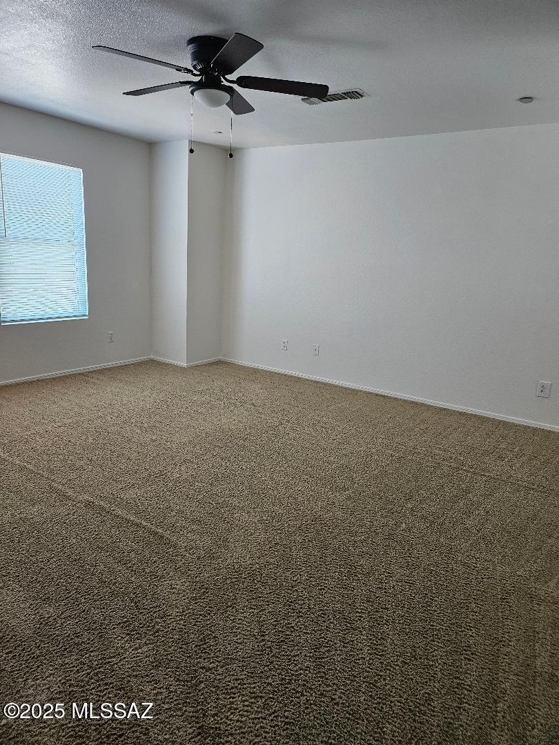 3195 West Treece Way Tucson, AZ 85742 - Photo 19 of 28