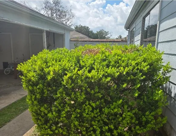 $1,800 | 8718 Brummel Drive, Houston, TX 77099