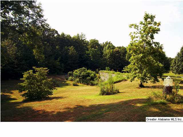 231 Westwood Estate Drive Empire, AL 35063 - Photo 3 of 25