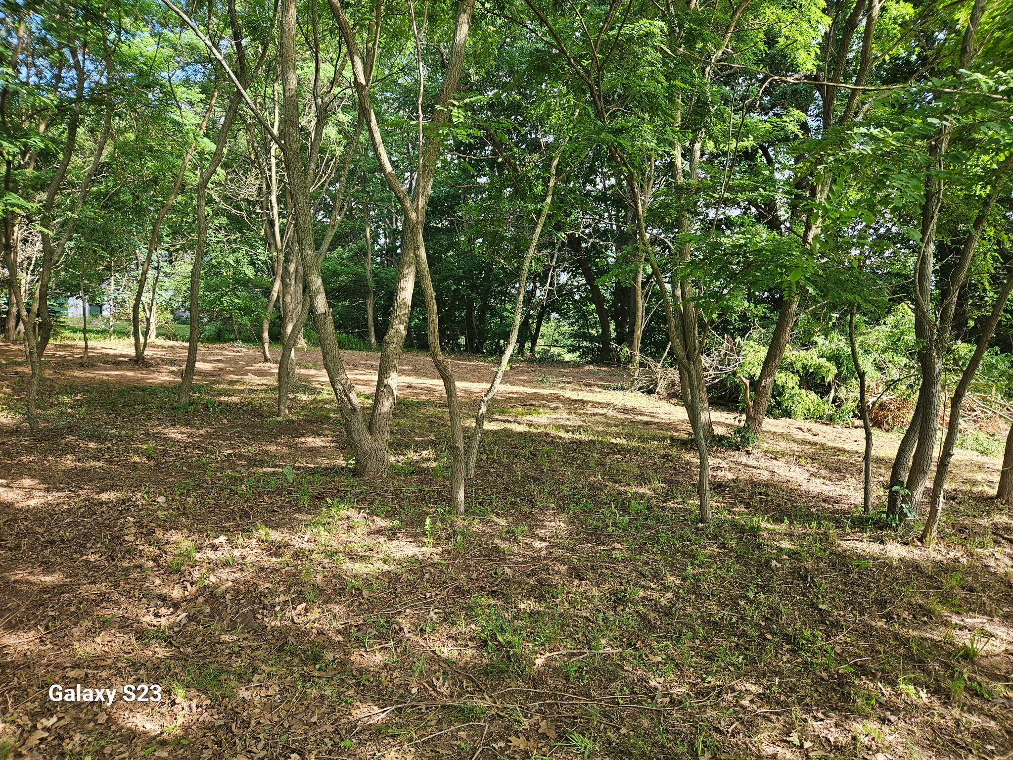 12269 Coral Road Coral, MI 49322 - Photo 1 of 9 1000007042