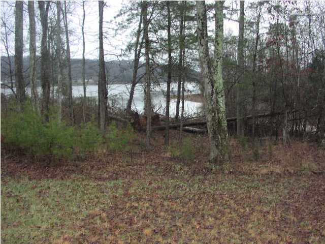 527 Piney Point Road Spring City, TN 37381 - Photo 4 of 6 Additional Photo