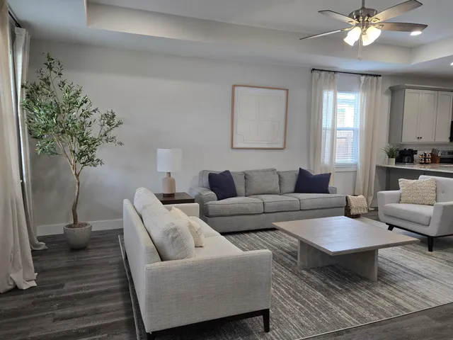 a living room with furniture and a potted plant