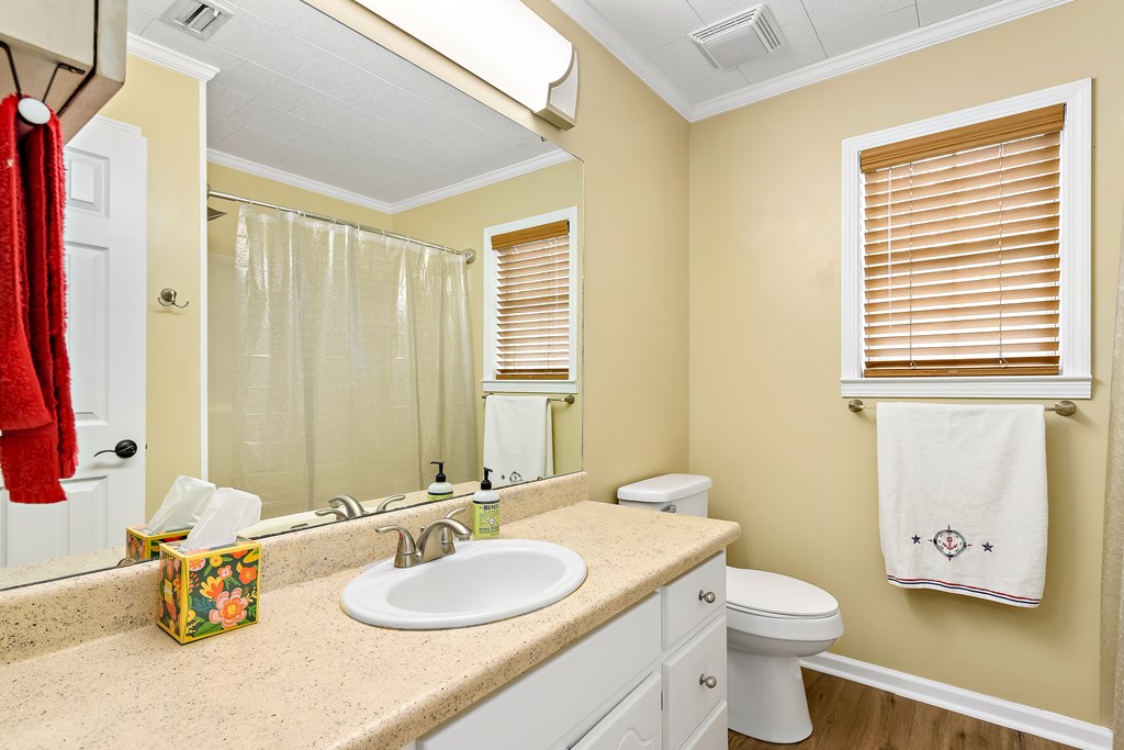 1638 Goose Hollow Road Geneva, AL 36340 - Photo 29 of 74 Hall Bathroom