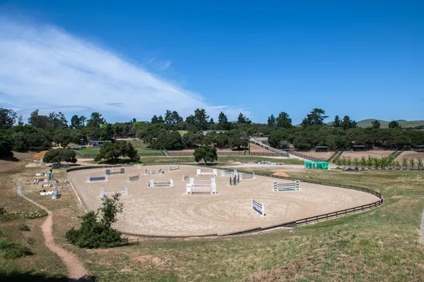 a plant with a plant in front of it