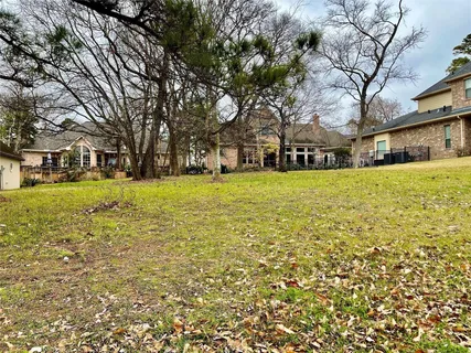 a view of a large trees with large trees