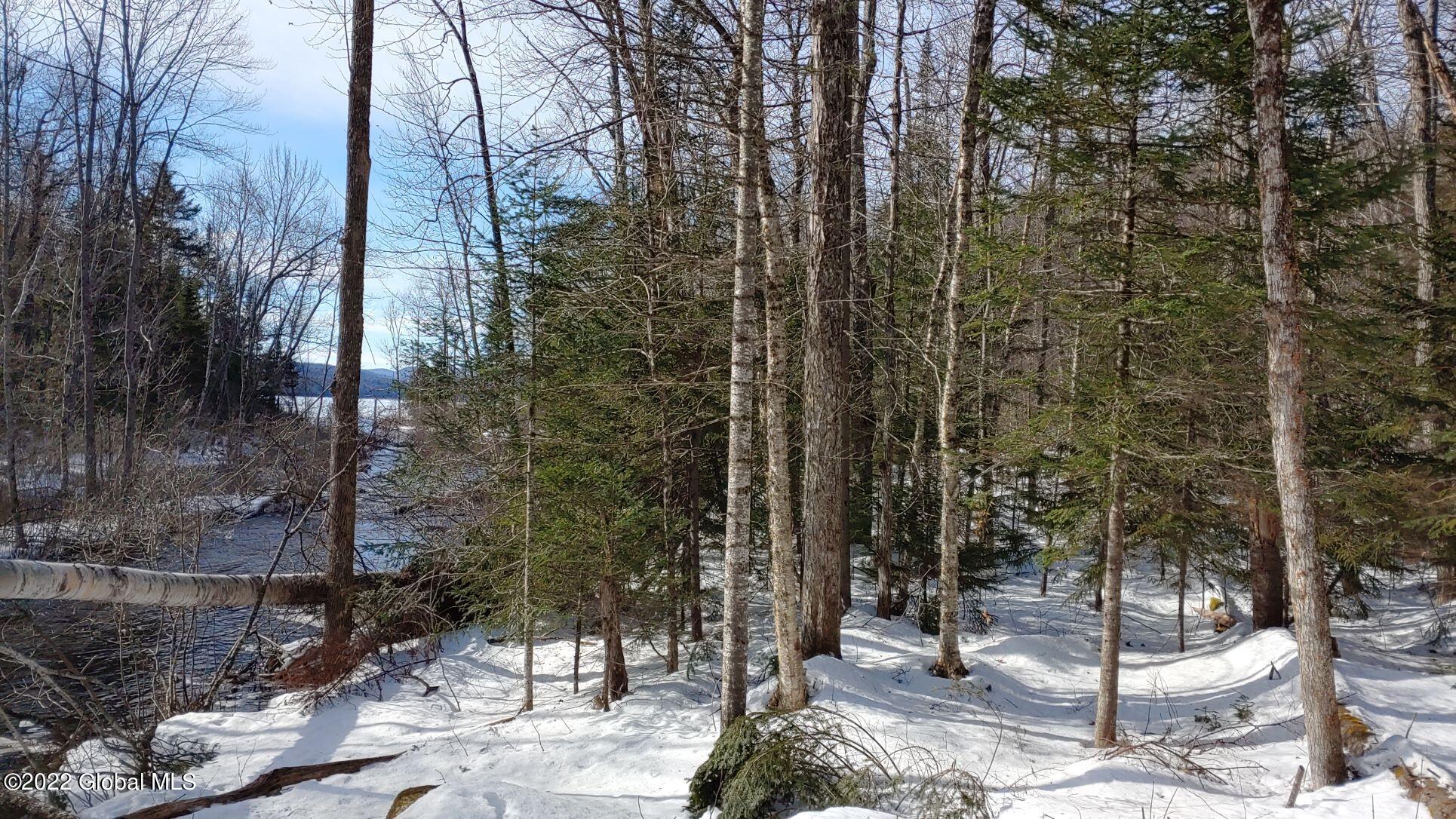 113 Beach Road Johnsburg, NY 12856 - Photo 3 of 9 Land 113 Beach Road towards 13th Lake