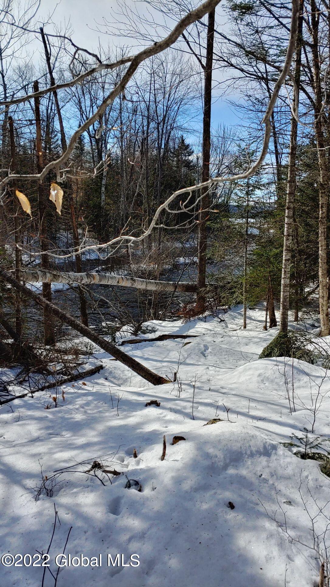 113 Beach Road Johnsburg, NY 12856 - Photo 4 of 9 Land 113 Beach Road pic 2