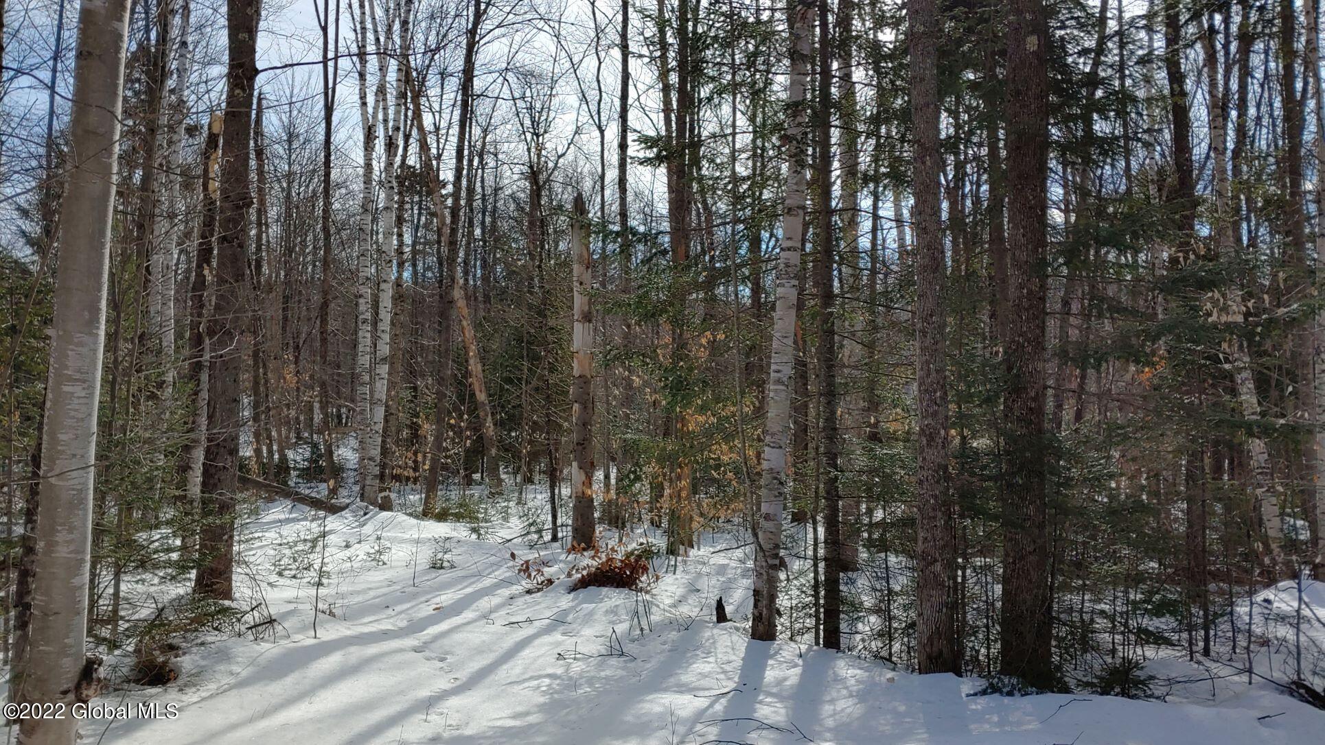 113 Beach Road Johnsburg, NY 12856 - Photo 5 of 9 Land 113 Beach Road pic 4