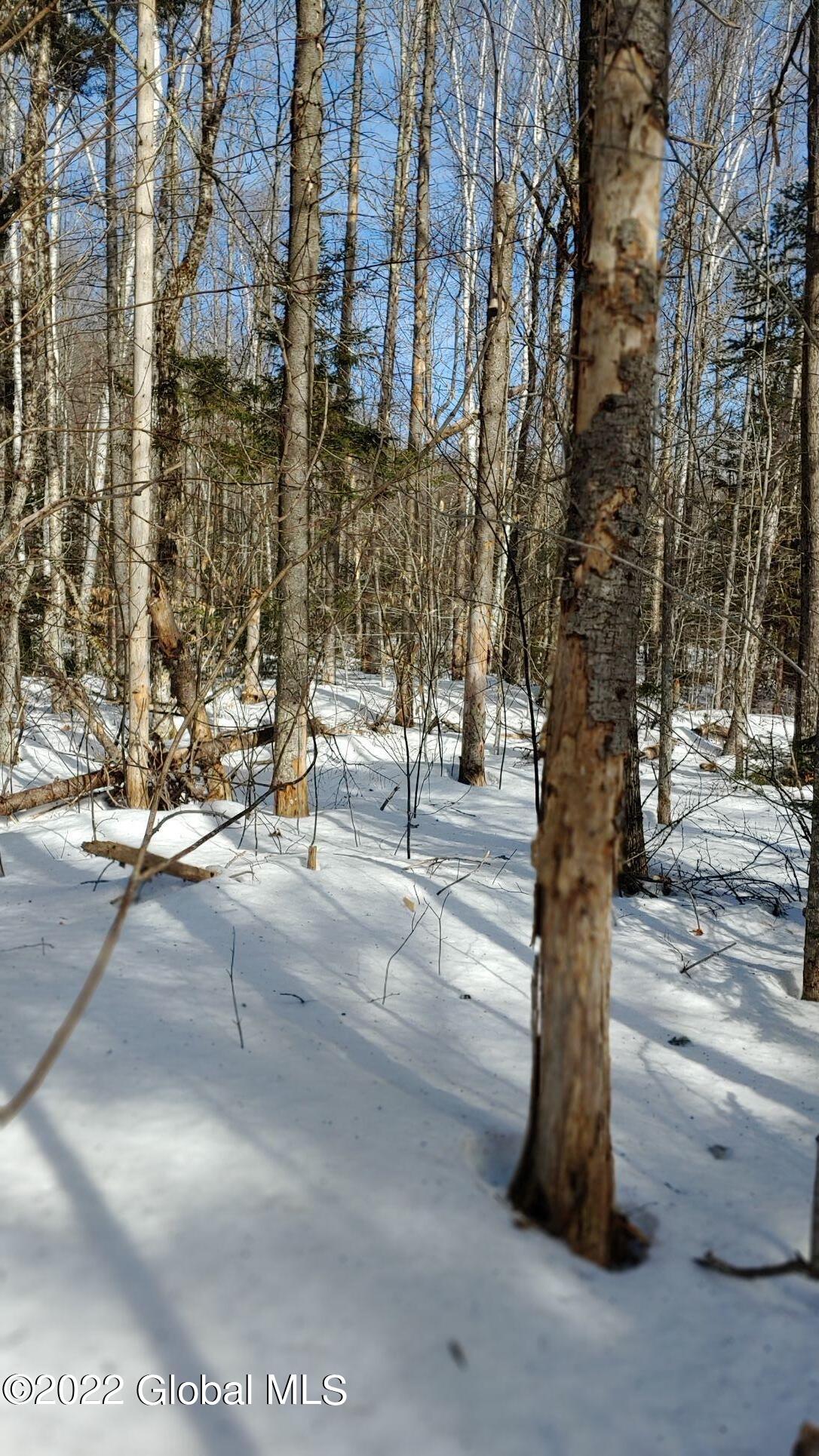 113 Beach Road Johnsburg, NY 12856 - Photo 6 of 9 Land 113 Beach Road