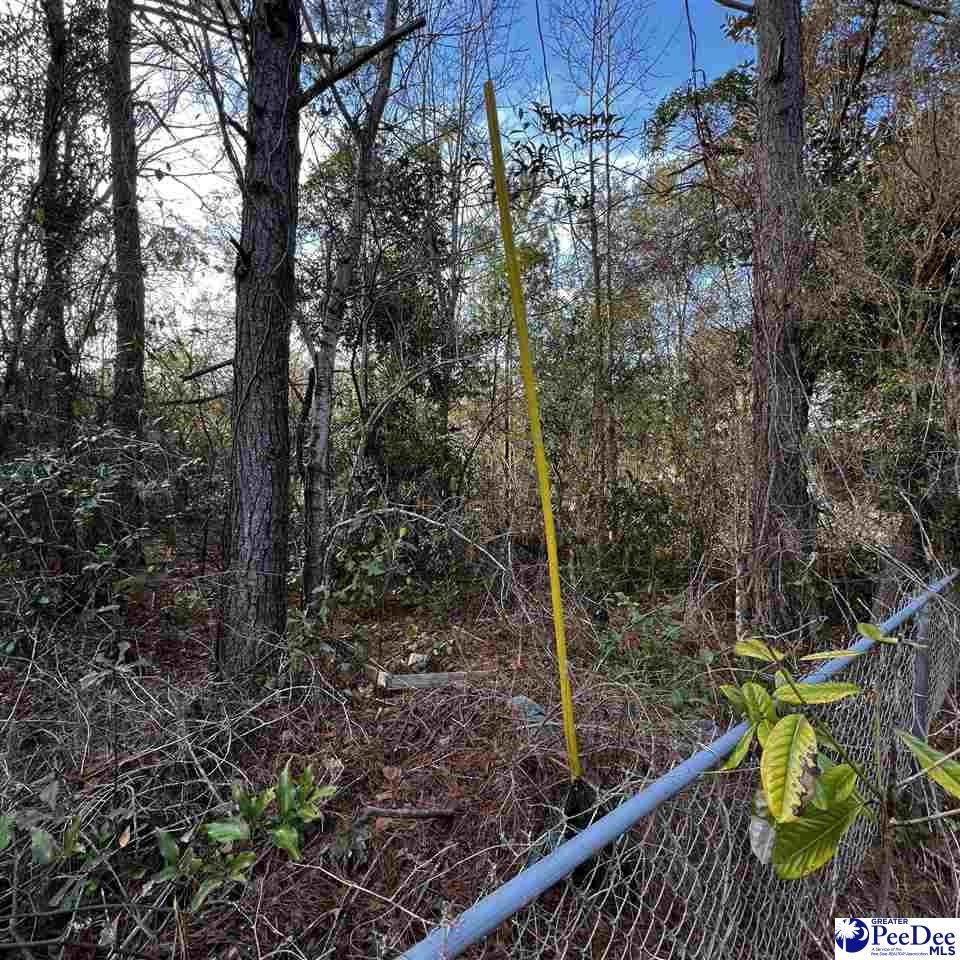 168 I M Graham Road Kingstree, SC 29556 - Photo 4 of 5 Gallery Image 4