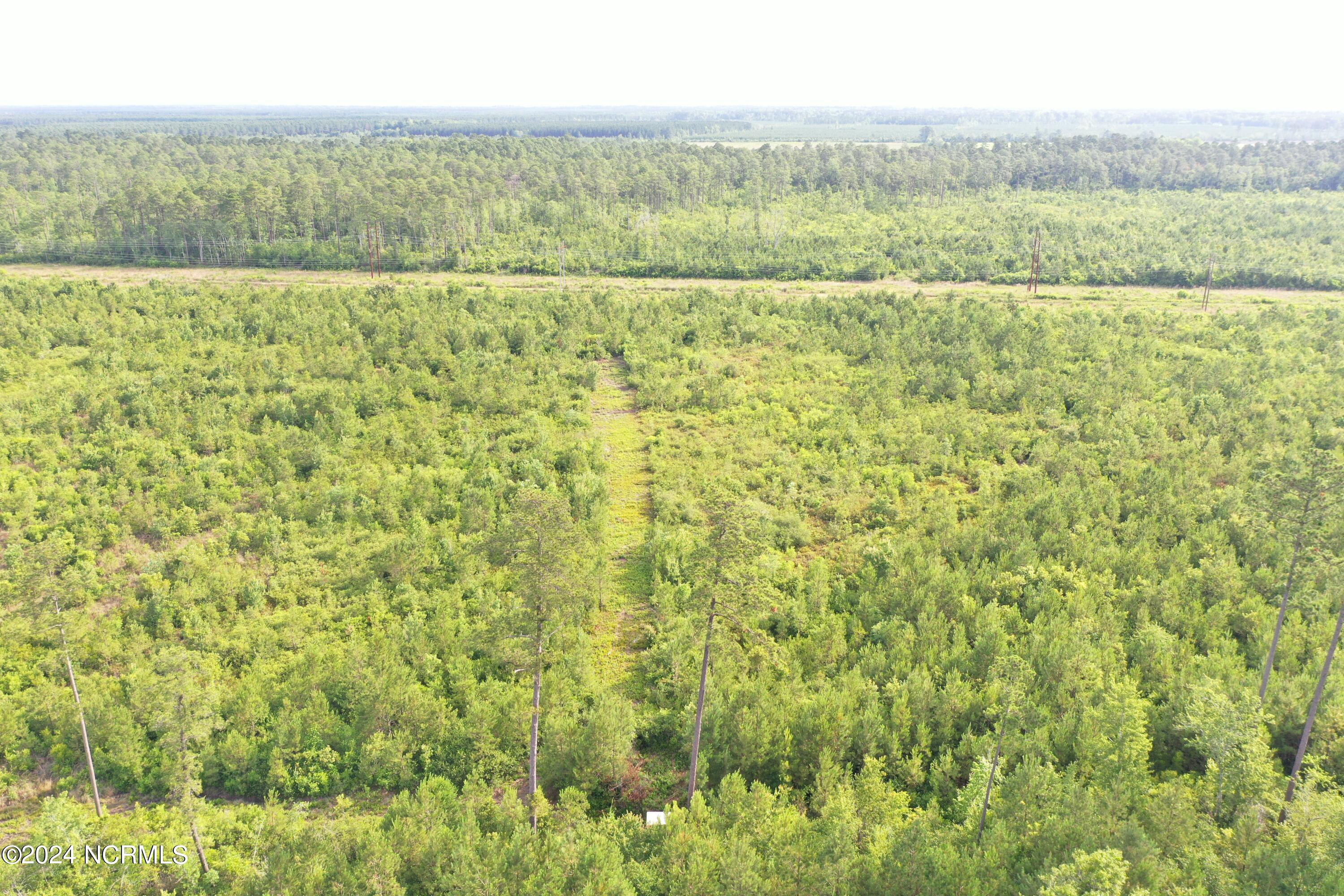 Tbd Pelham Road Watha, NC 28478 - Photo 17 of 25 17