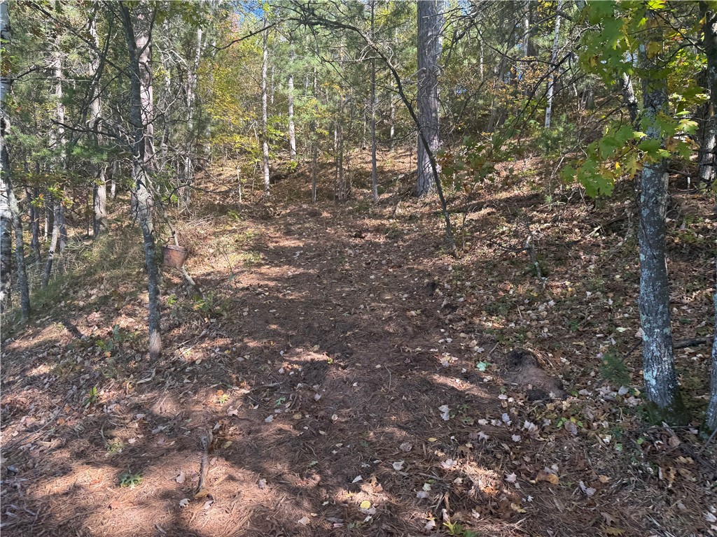 Lot 21 East Long Lake Road Iron River, WI 54847 - Photo 4 of 14