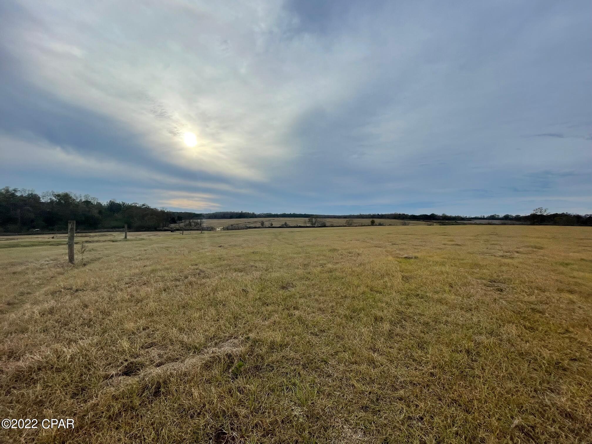 1279 Gavin Road Bonifay, FL 32425 - Photo 11 of 30