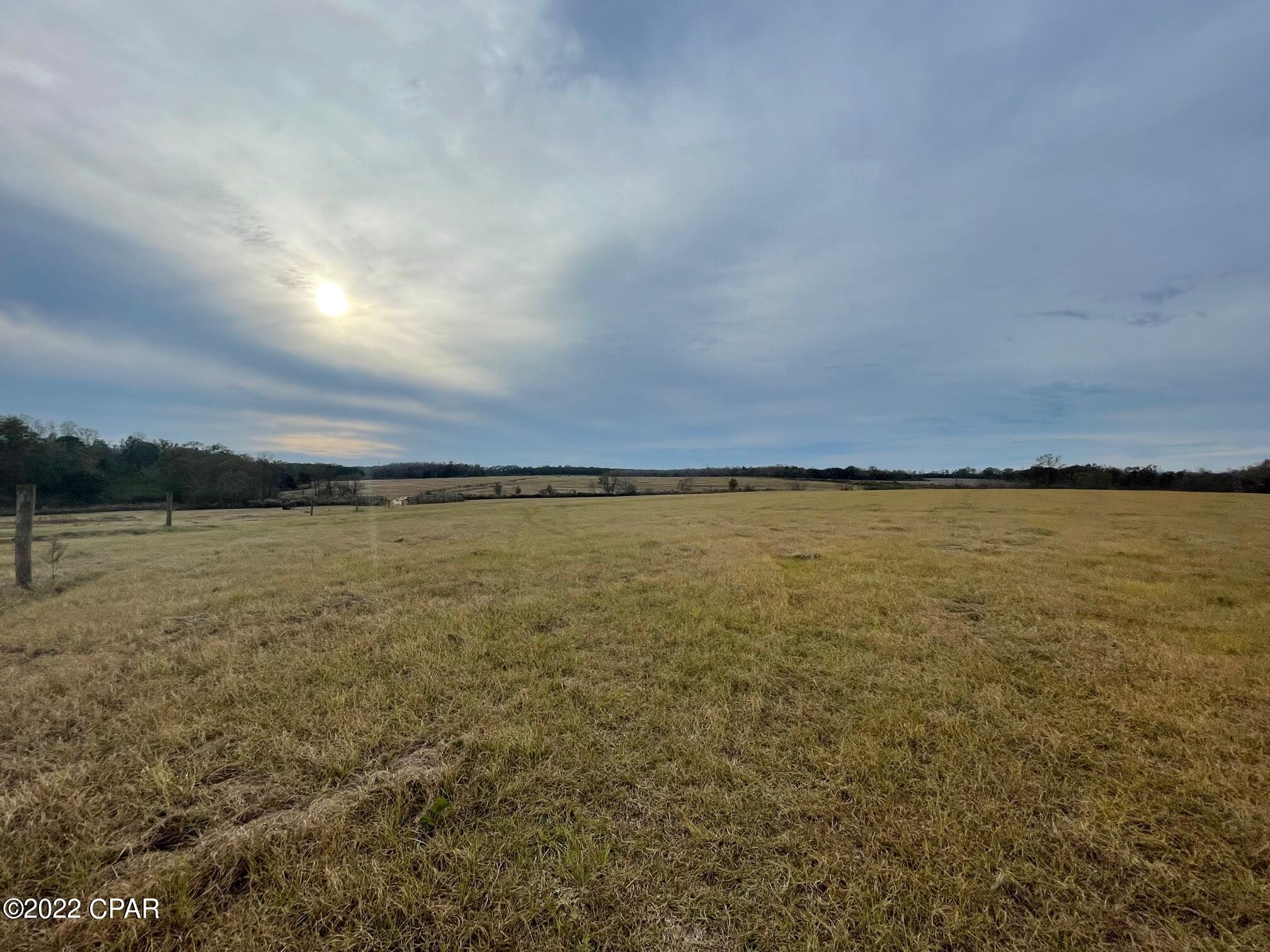 1279 Gavin Road Bonifay, FL 32425 - Photo 12 of 30