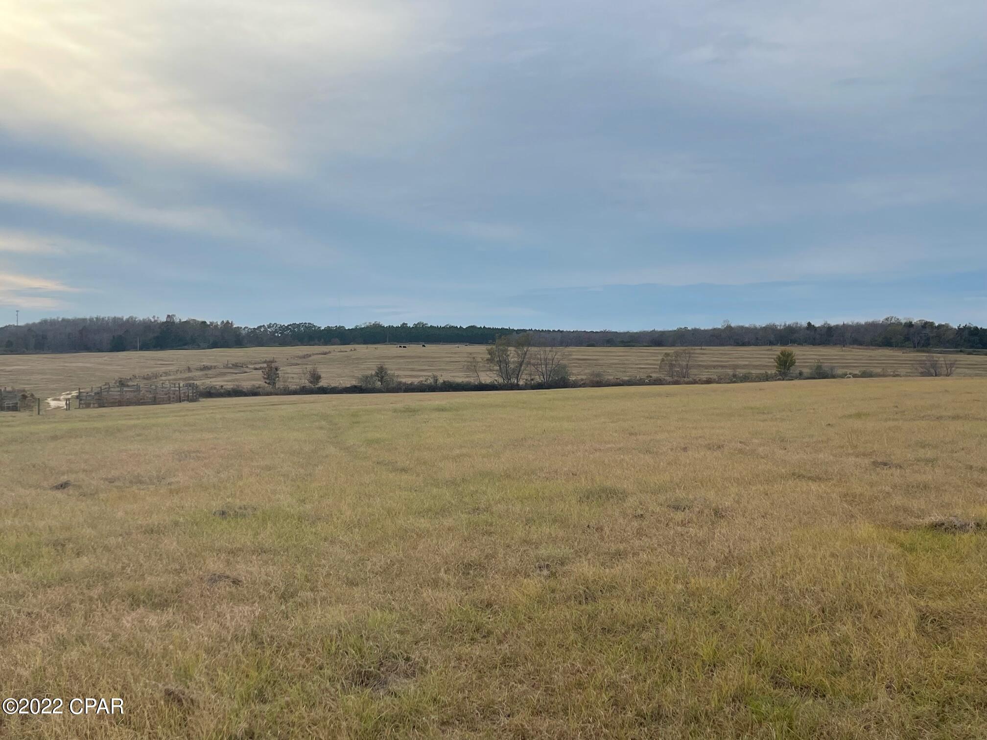 1279 Gavin Road Bonifay, FL 32425 - Photo 13 of 30