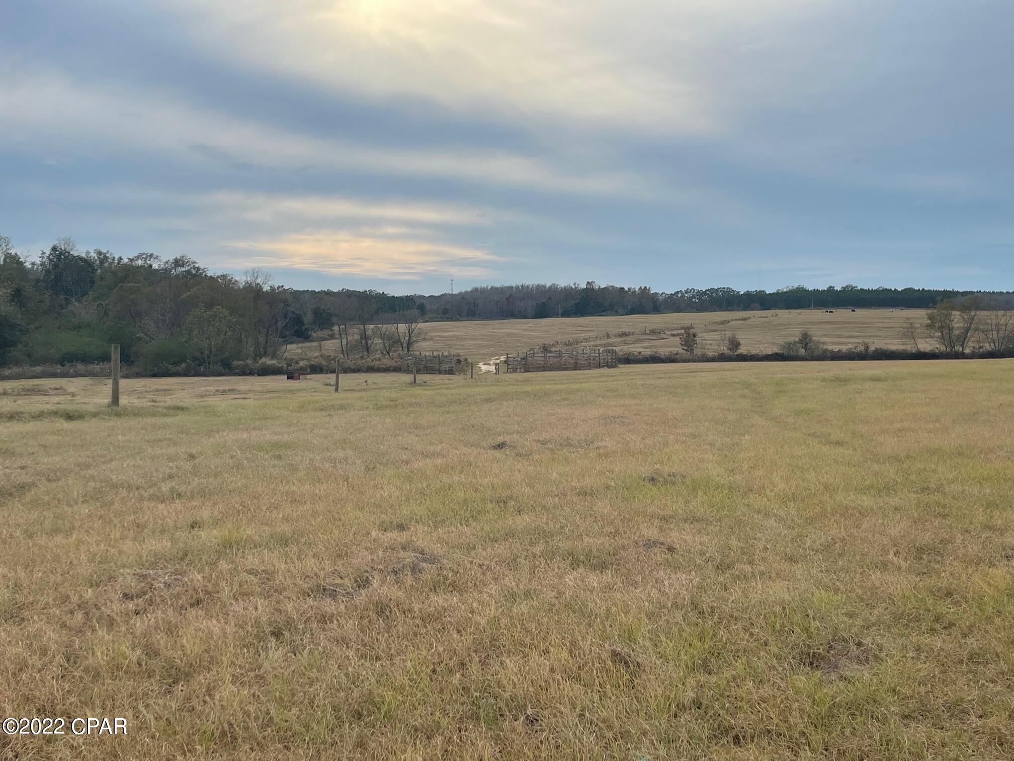 1279 Gavin Road Bonifay, FL 32425 - Photo 14 of 30