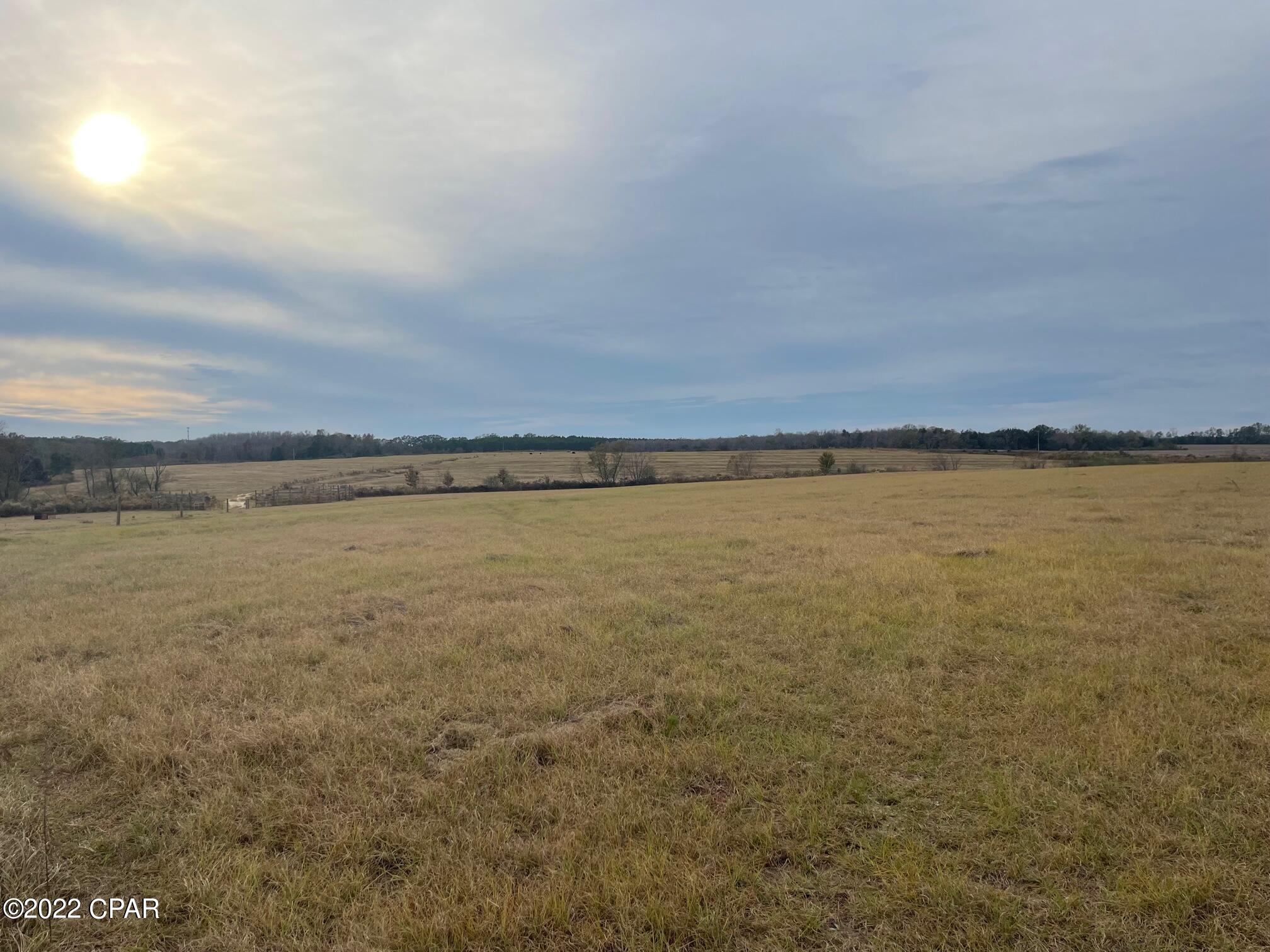 1279 Gavin Road Bonifay, FL 32425 - Photo 15 of 30