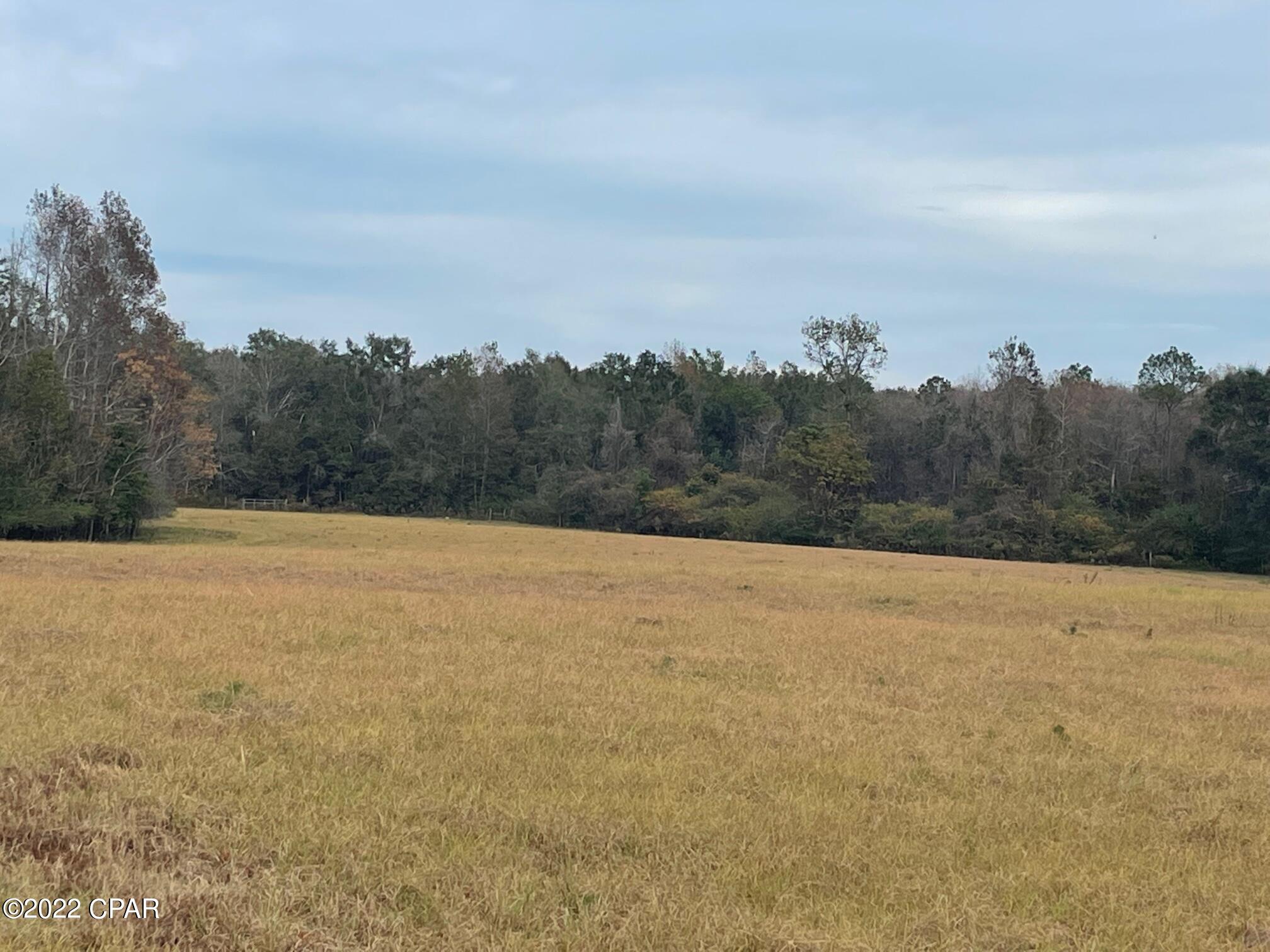 1279 Gavin Road Bonifay, FL 32425 - Photo 16 of 30