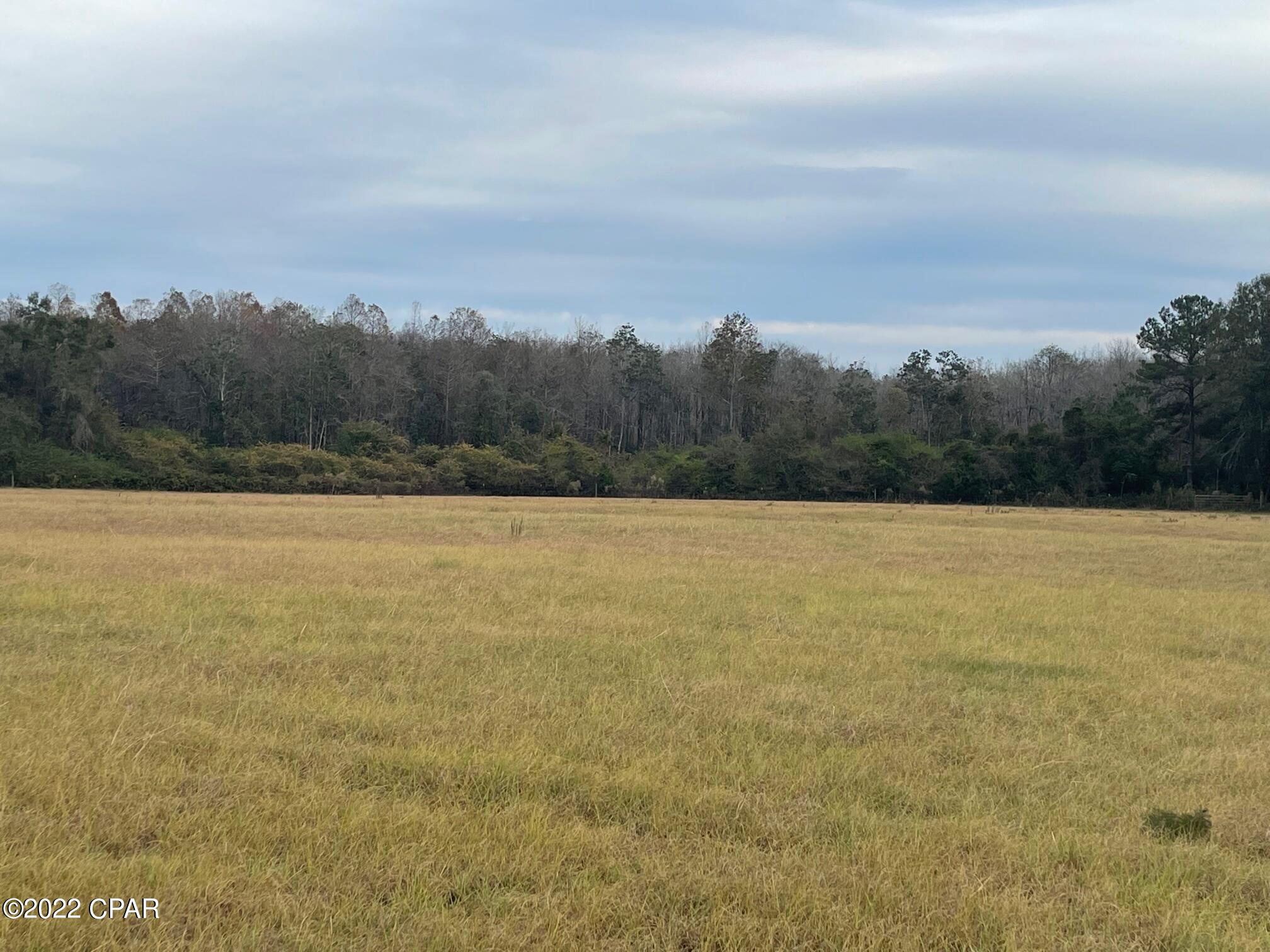 1279 Gavin Road Bonifay, FL 32425 - Photo 17 of 30