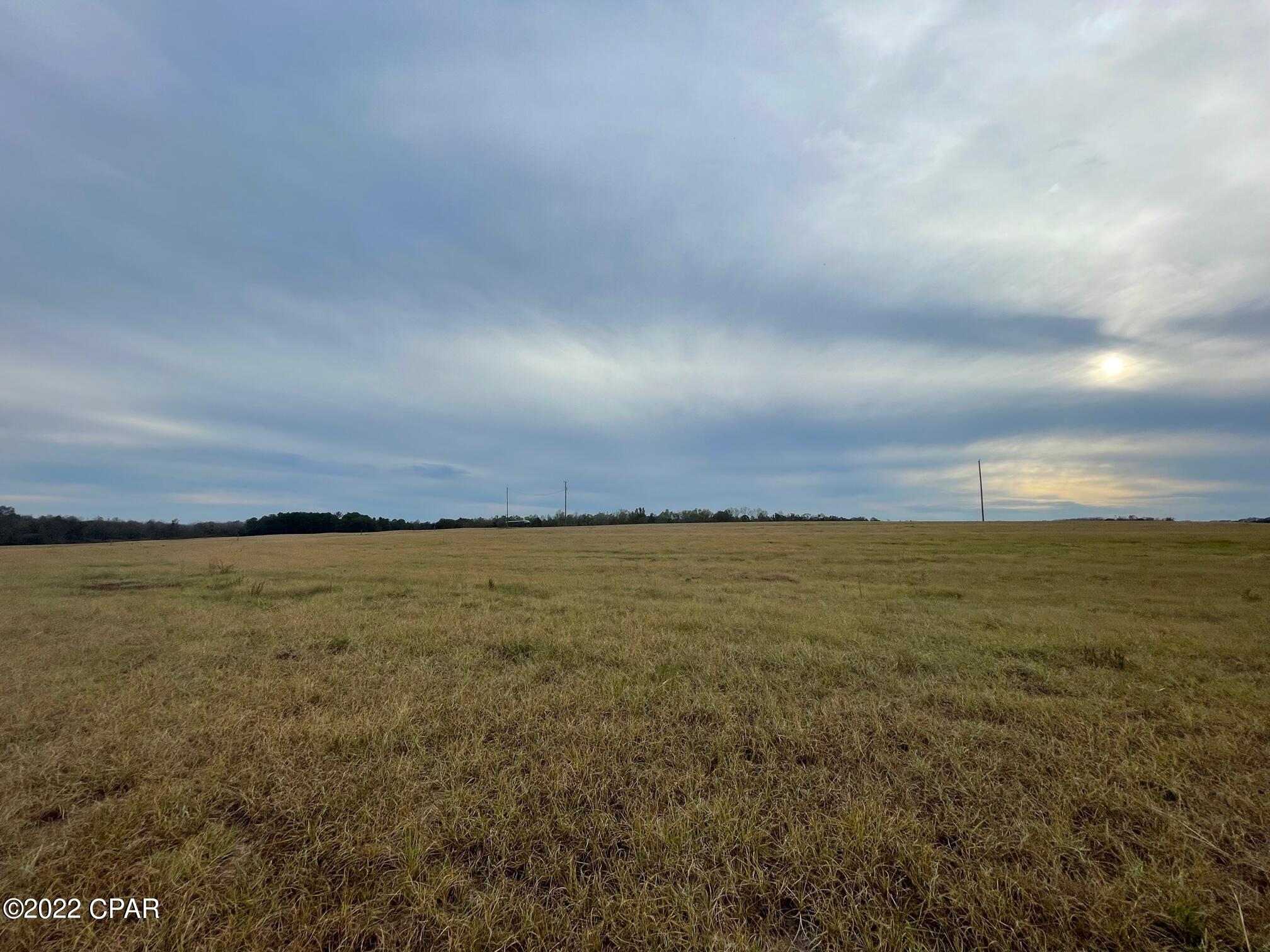 1279 Gavin Road Bonifay, FL 32425 - Photo 18 of 30