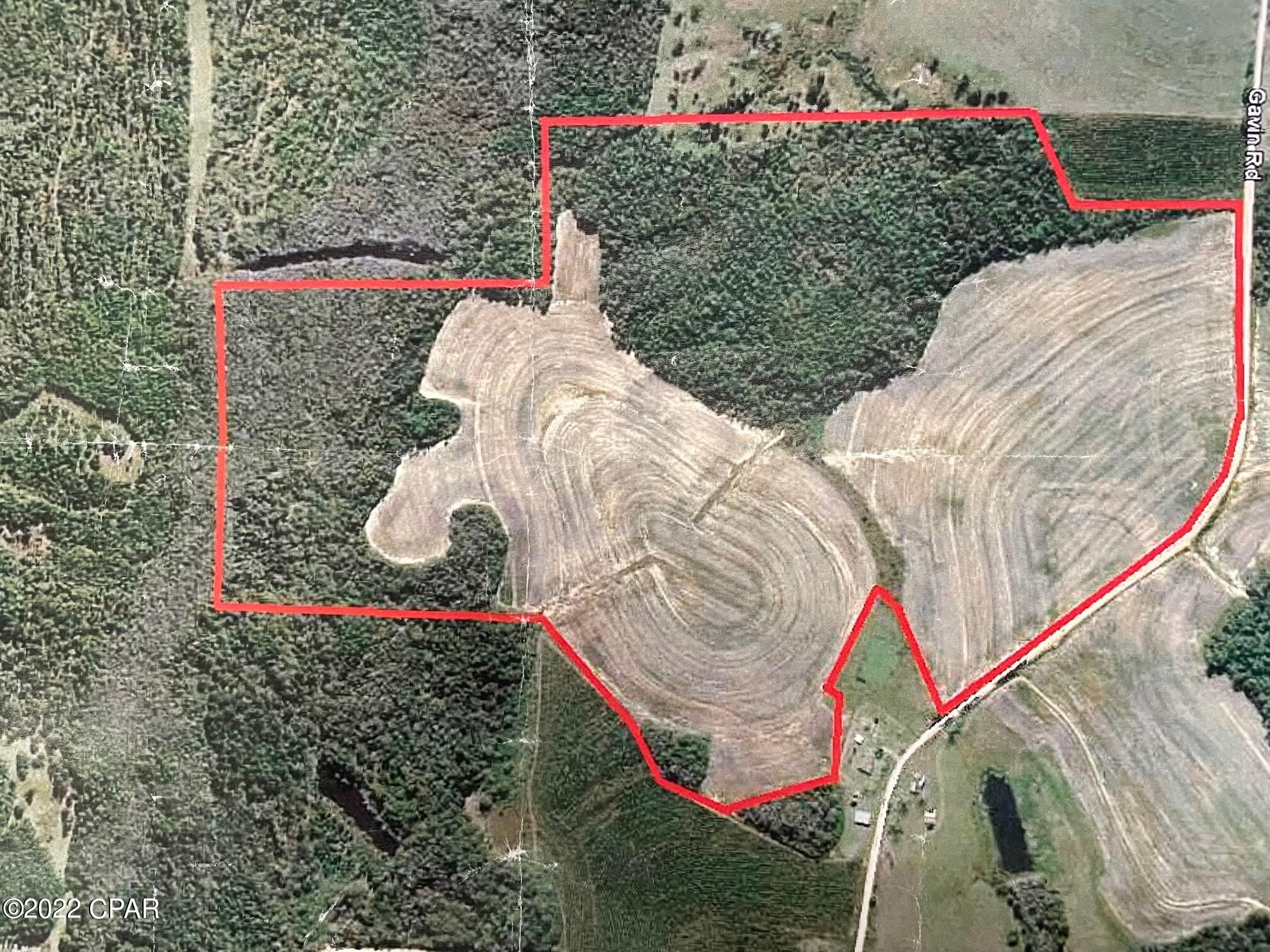 1279 Gavin Road Bonifay, FL 32425 - Photo 2 of 30