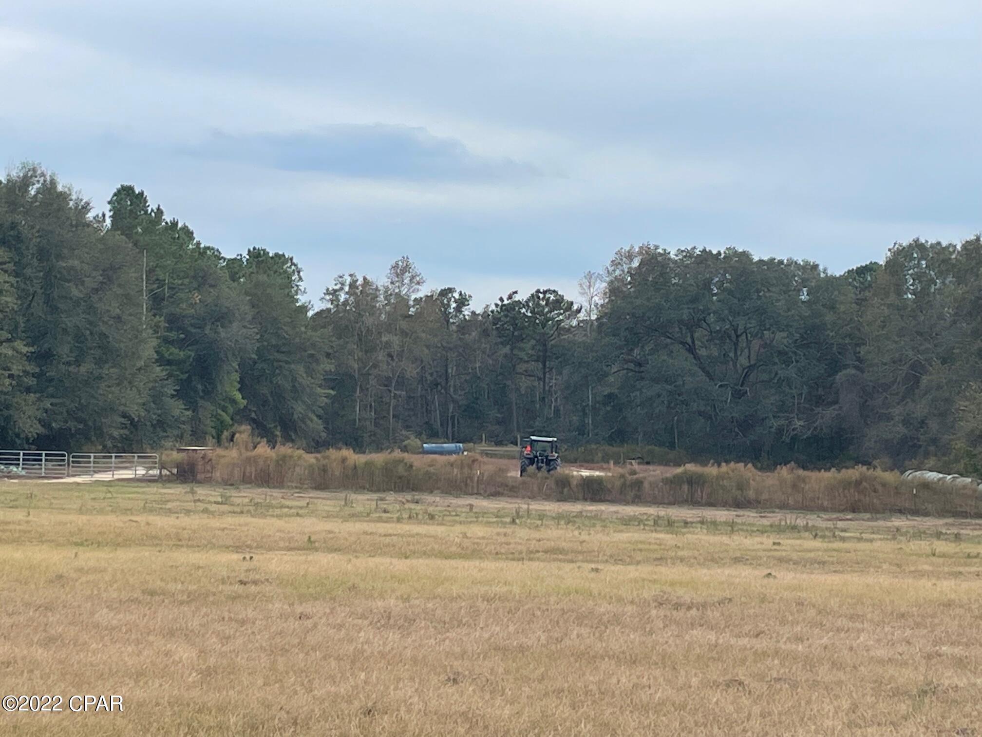 1279 Gavin Road Bonifay, FL 32425 - Photo 21 of 30