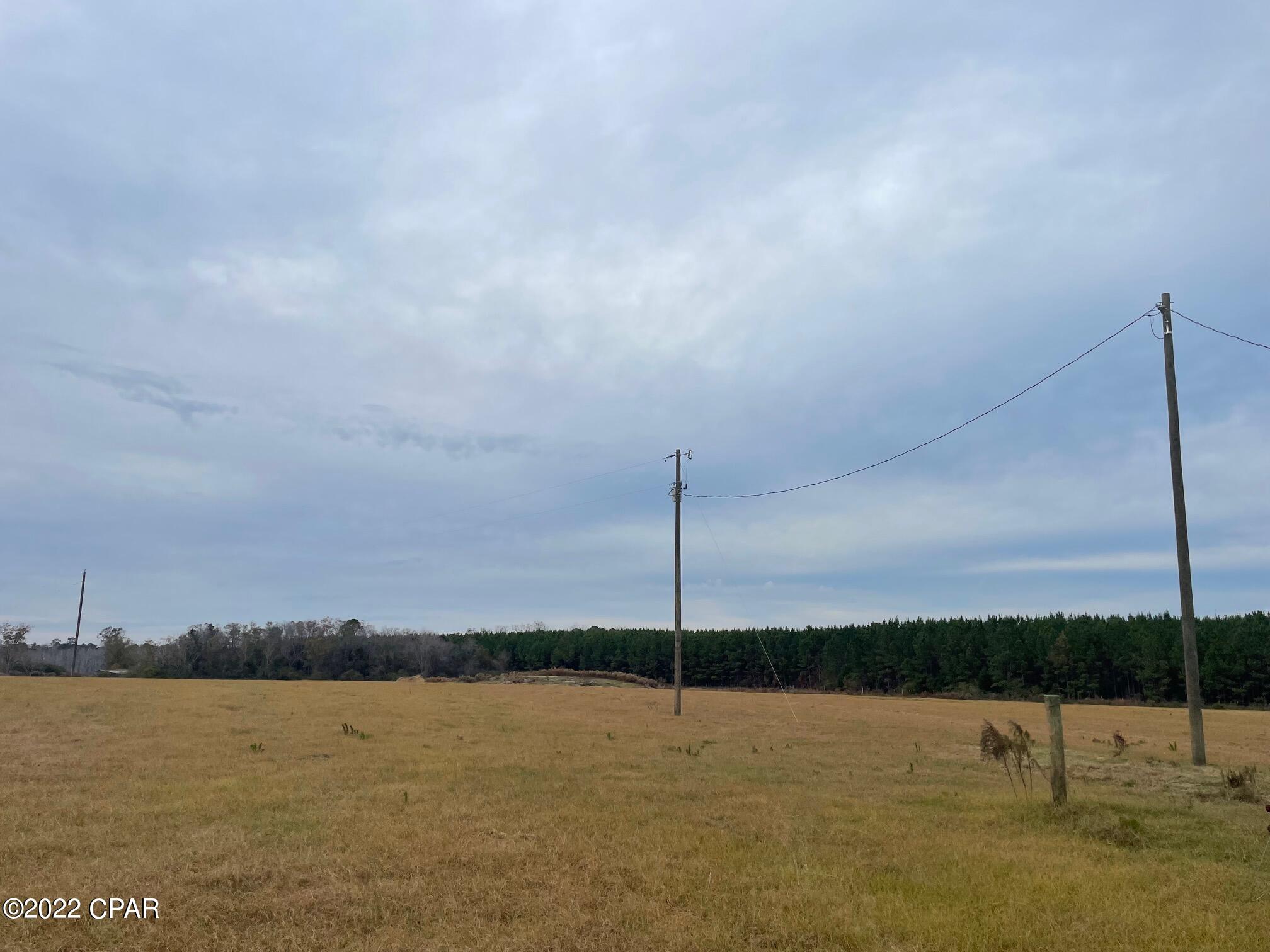 1279 Gavin Road Bonifay, FL 32425 - Photo 22 of 30