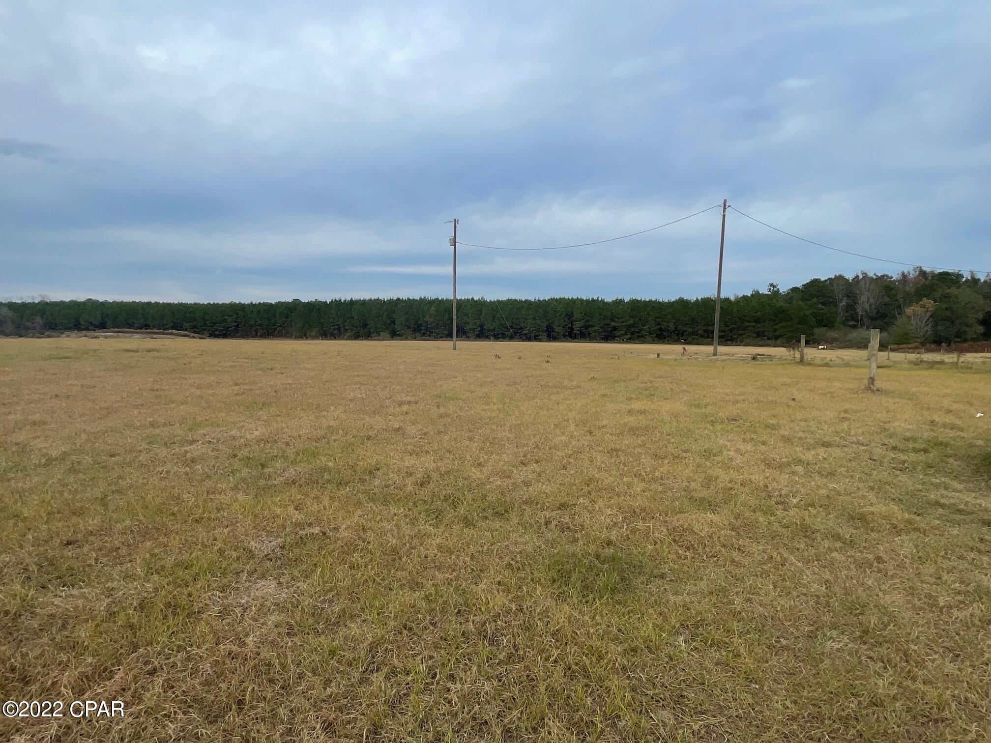 1279 Gavin Road Bonifay, FL 32425 - Photo 23 of 30