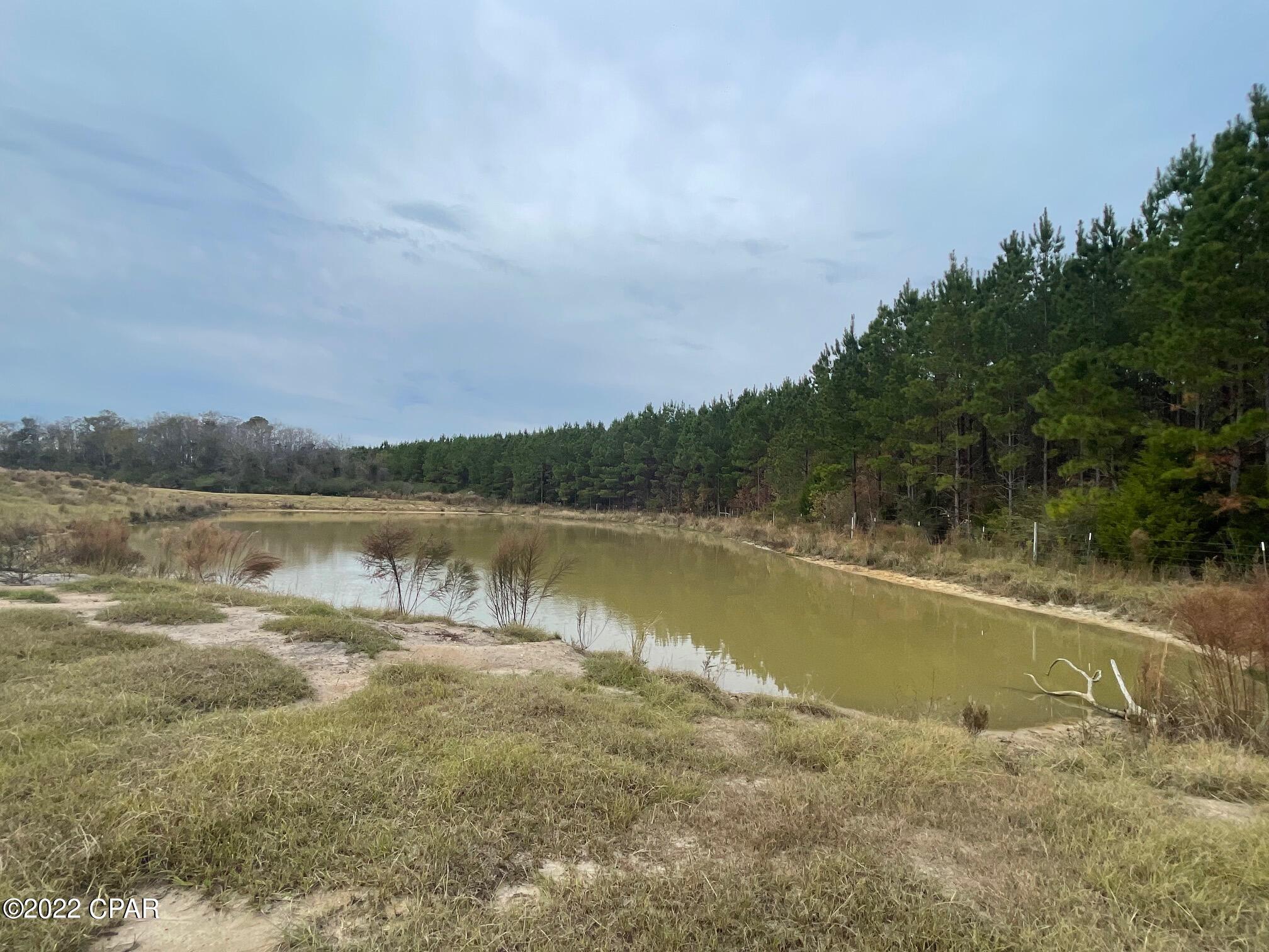 1279 Gavin Road Bonifay, FL 32425 - Photo 25 of 30