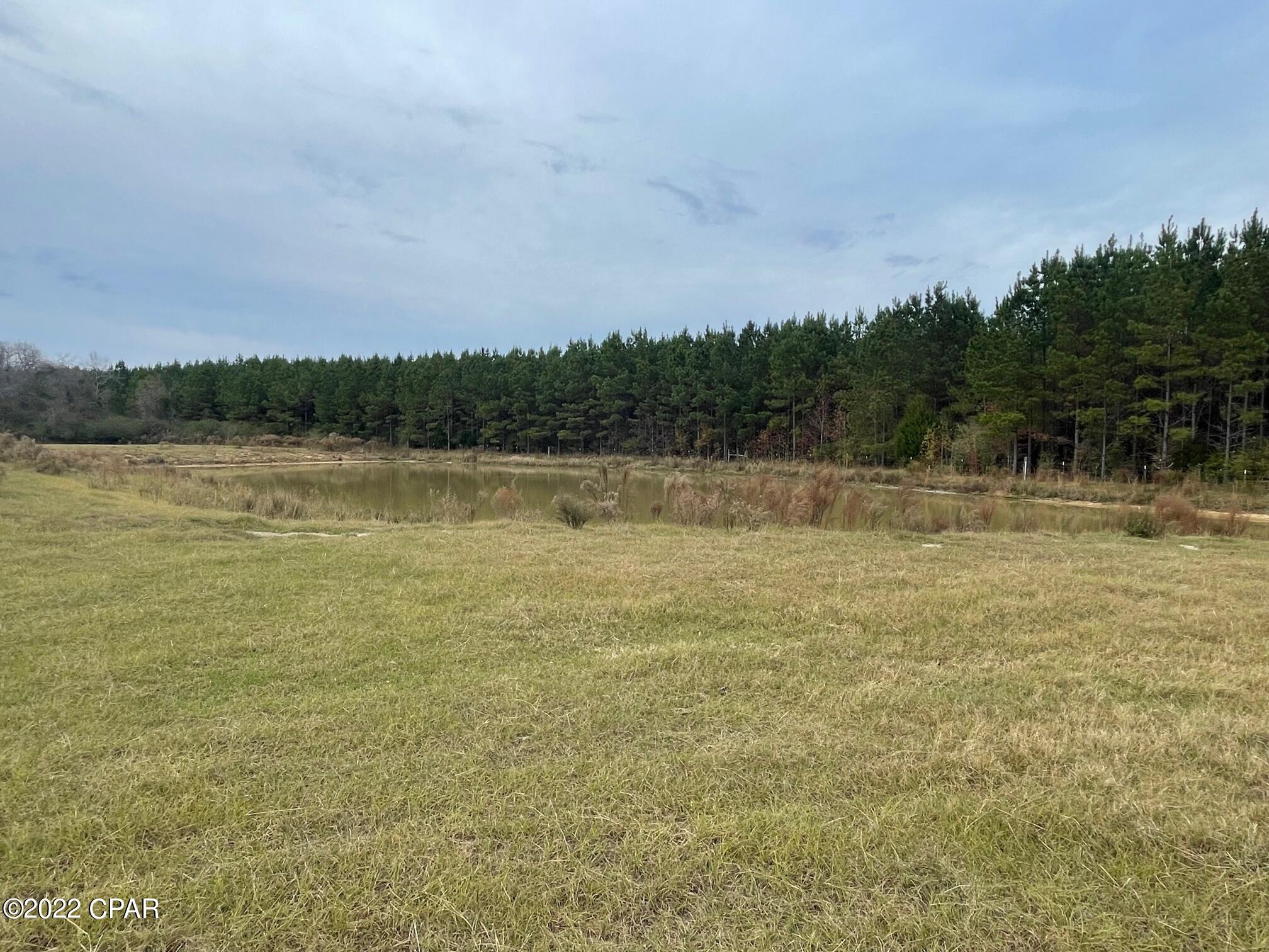 1279 Gavin Road Bonifay, FL 32425 - Photo 26 of 30