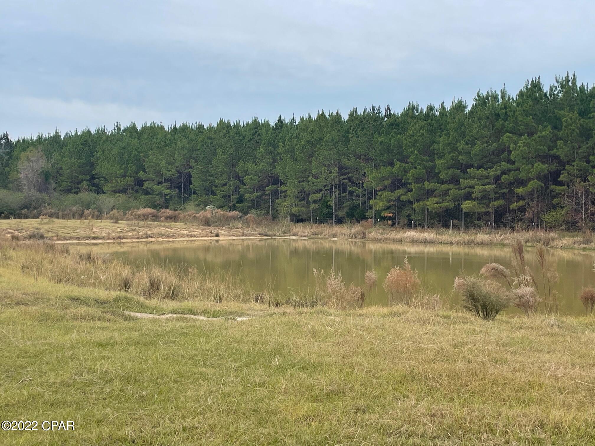 1279 Gavin Road Bonifay, FL 32425 - Photo 27 of 30