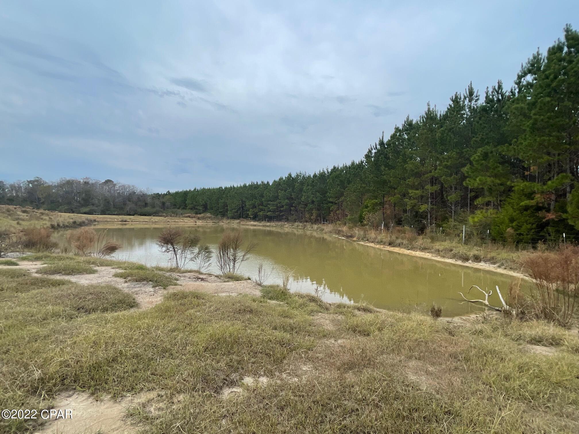 1279 Gavin Road Bonifay, FL 32425 - Photo 28 of 30