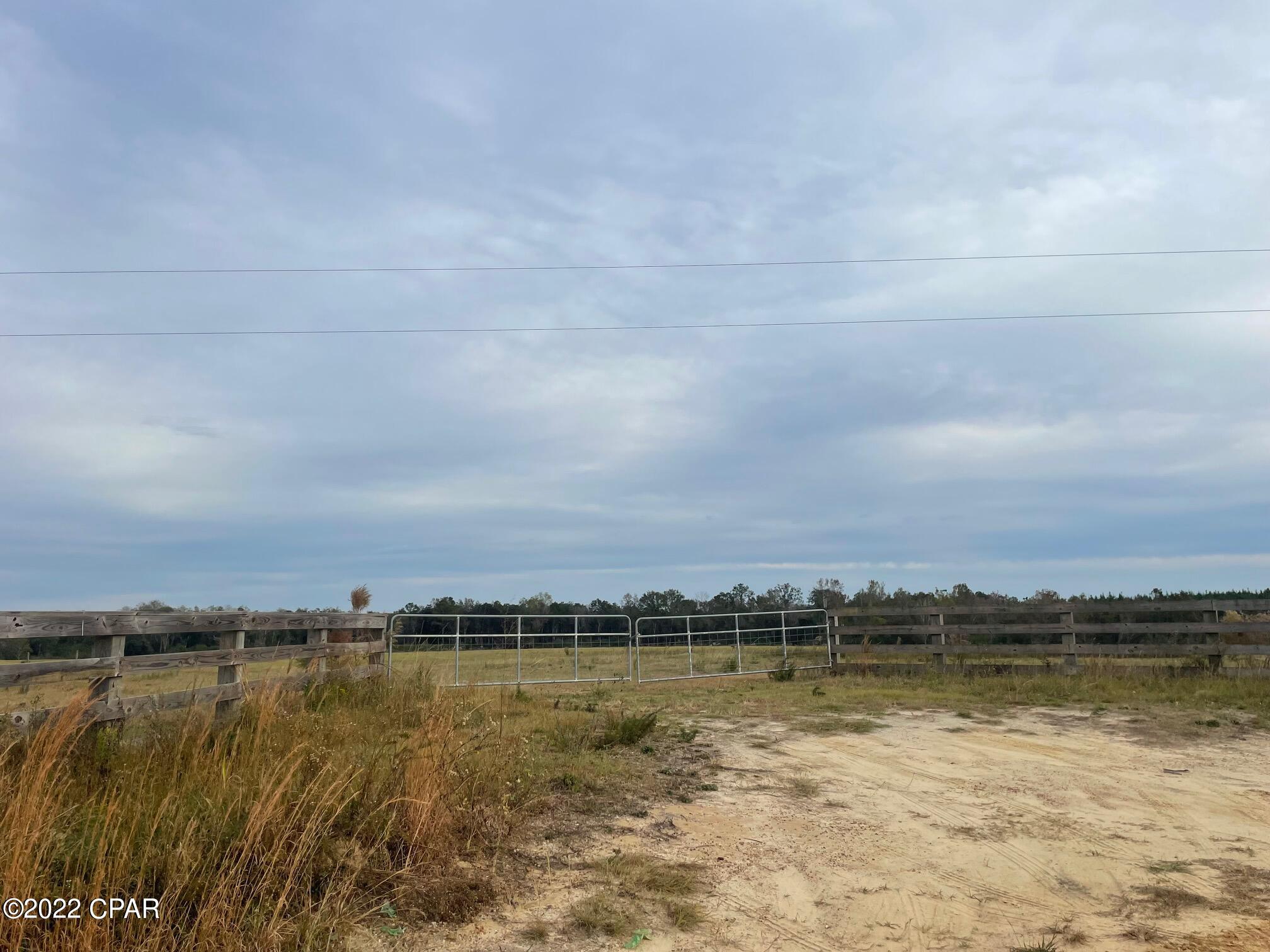 1279 Gavin Road Bonifay, FL 32425 - Photo 4 of 30