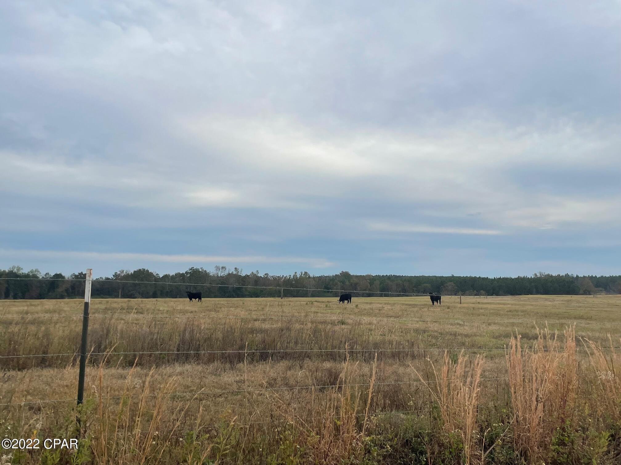 1279 Gavin Road Bonifay, FL 32425 - Photo 5 of 30