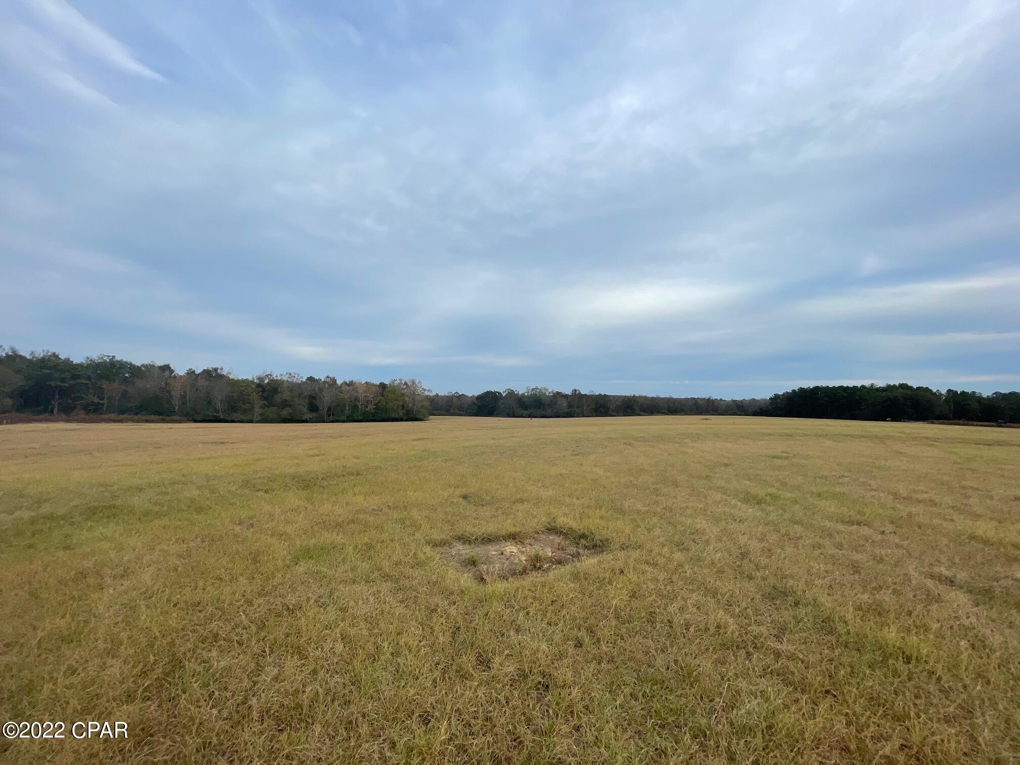 1279 Gavin Road Bonifay, FL 32425 - Photo 6 of 30