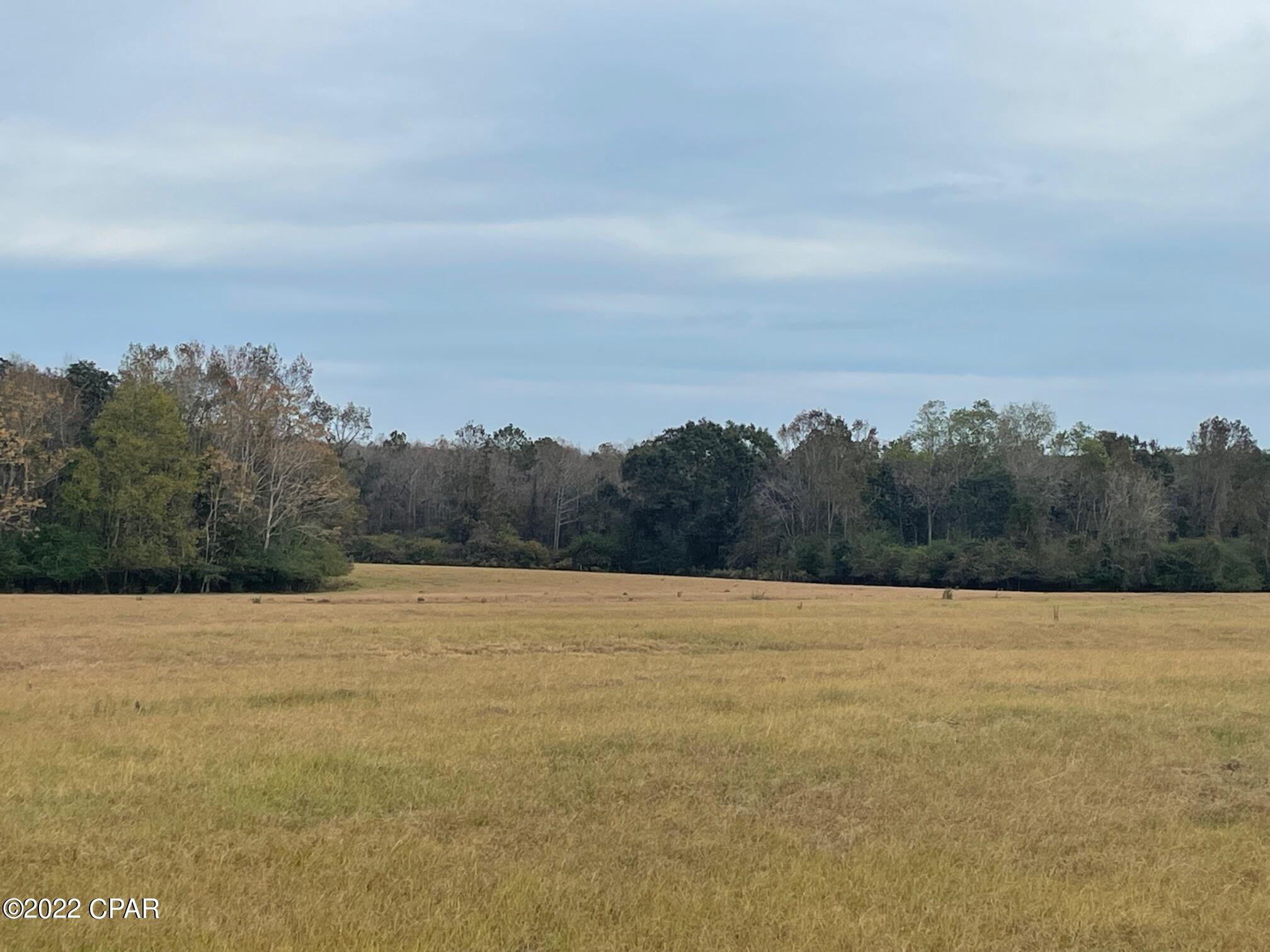 1279 Gavin Road Bonifay, FL 32425 - Photo 7 of 30