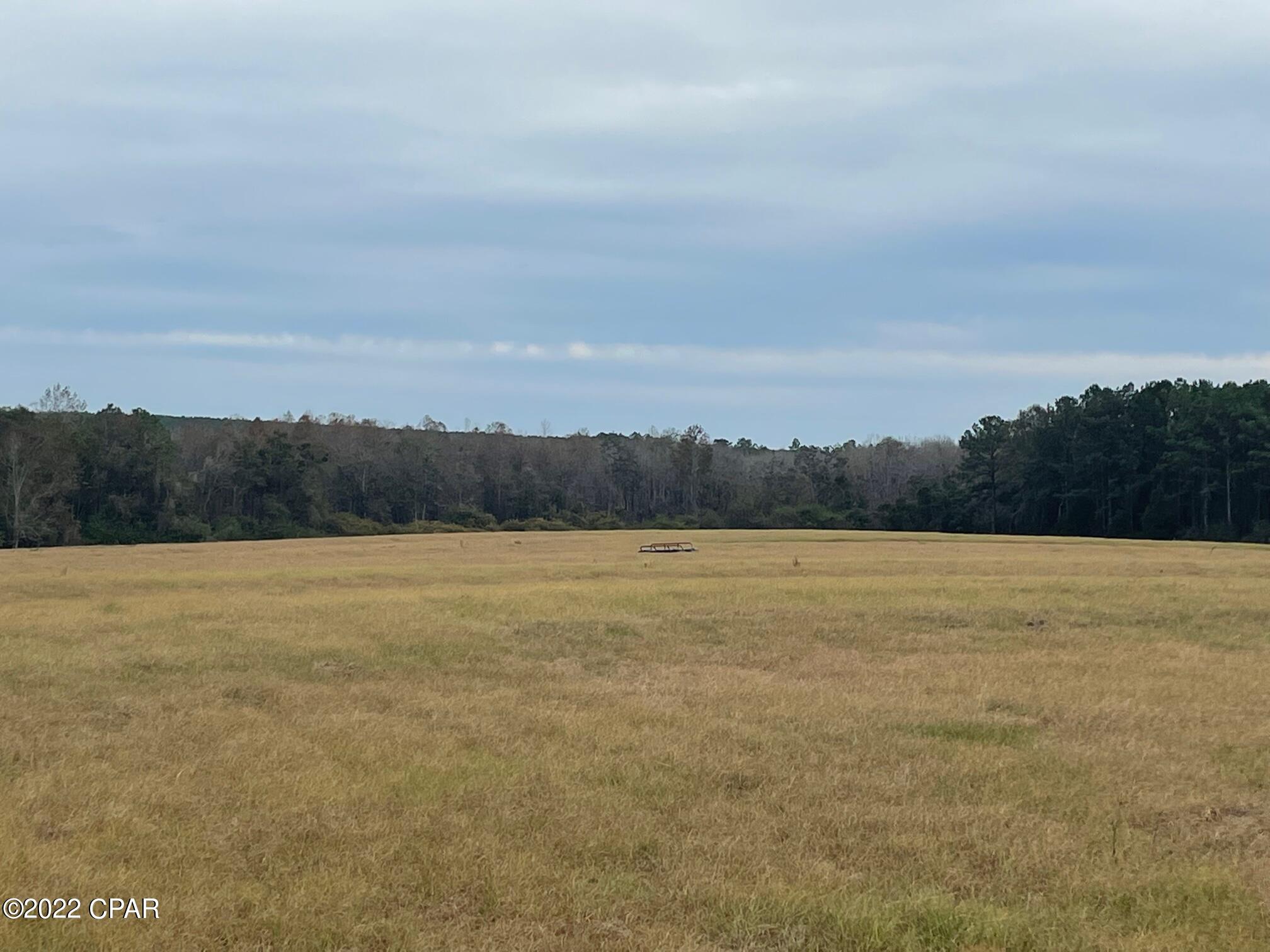 1279 Gavin Road Bonifay, FL 32425 - Photo 8 of 30