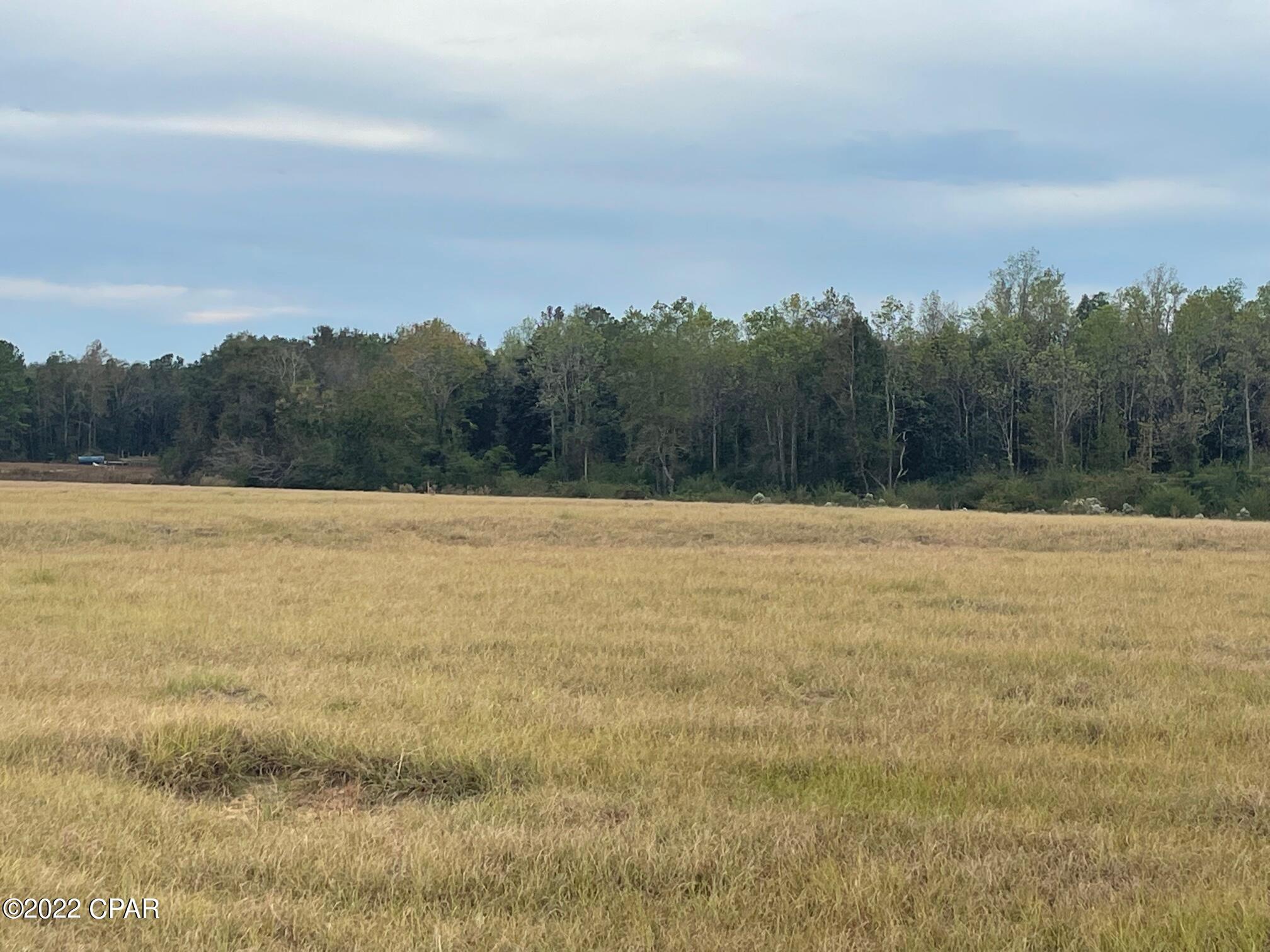 1279 Gavin Road Bonifay, FL 32425 - Photo 9 of 30