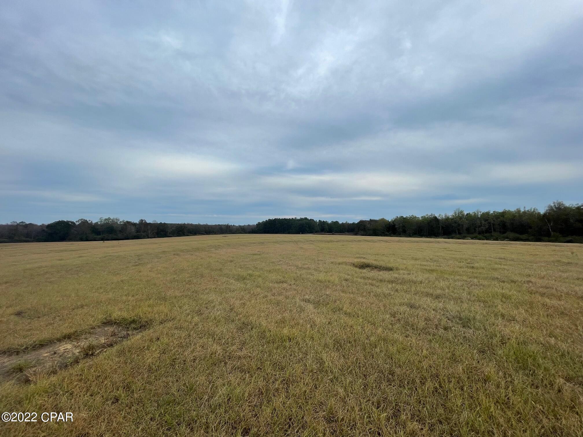 1279 Gavin Road Bonifay, FL 32425 - Photo 10 of 30