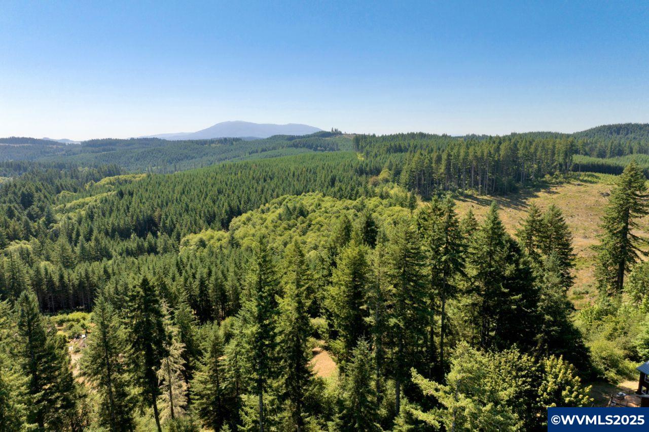 36834 Happy Hollow Road Blodgett, OR 97326 - Photo 50 of 50 Gallery Image 50