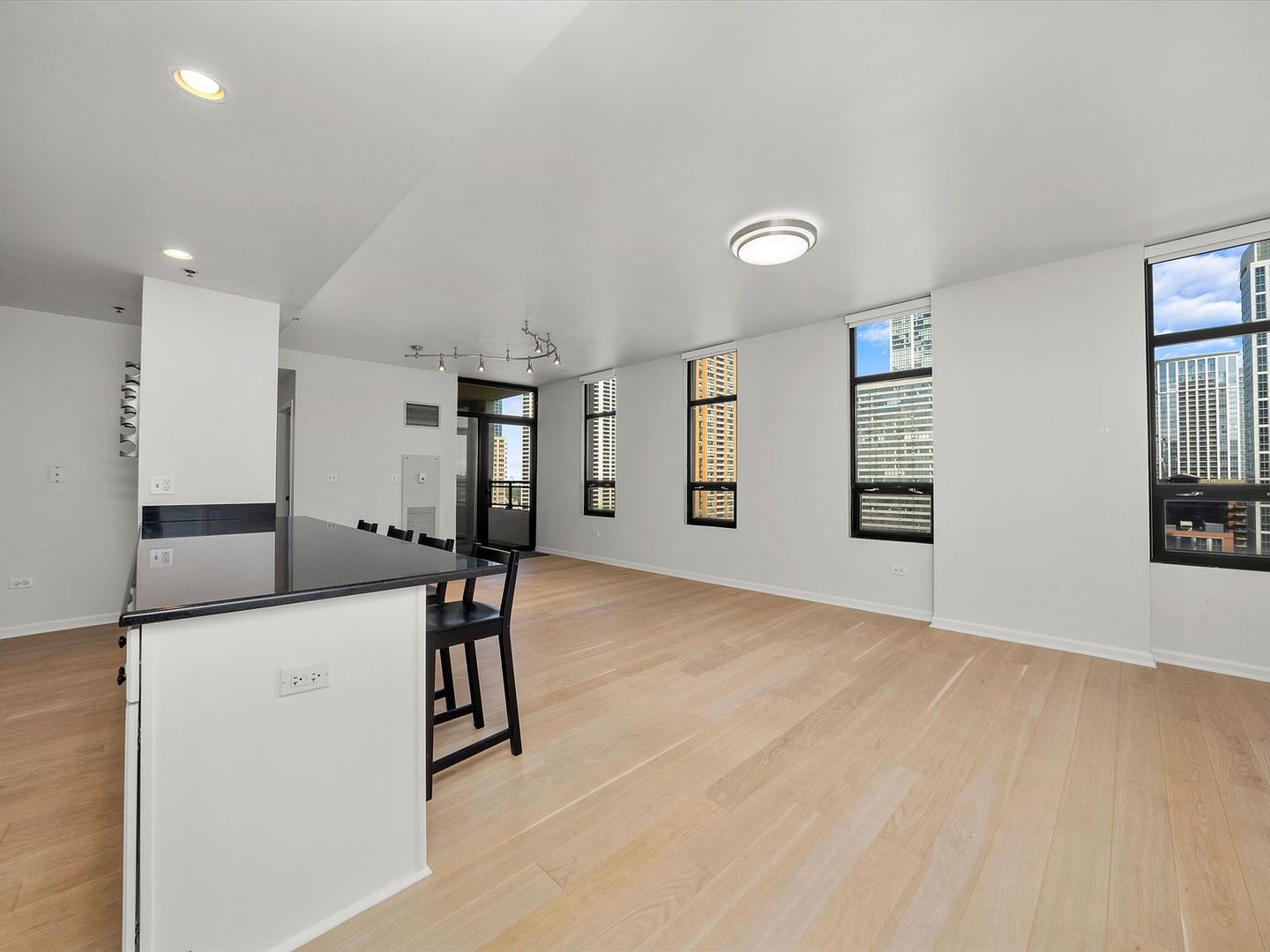 1255 South State Street, Unit 1703 Chicago, IL 60605 - Photo 2 of 27