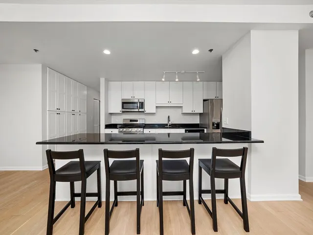 $4,000 | 1255 South State Street, Unit 1703, Chicago, IL 60605