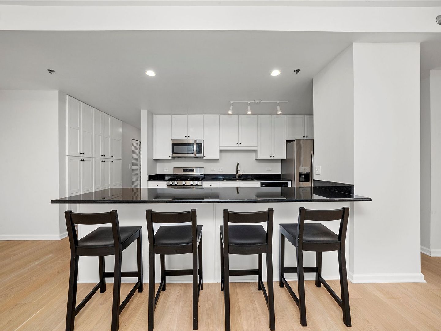 1255 South State Street, Unit 1703 Chicago, IL 60605 - Photo 4 of 27