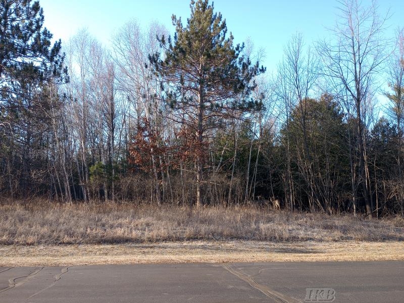 Lot 5 Castleview Gladwin, MI 48624 - Photo 2 of 9