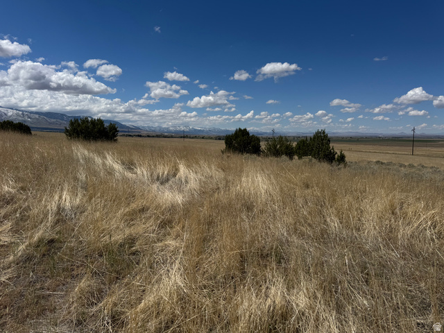 2700 North Cedar Mountain Road Fillmore, UT 84631 - Photo 5 of 17 8.9 acres along Cedar Mountain Road, north of Fillmore, UT