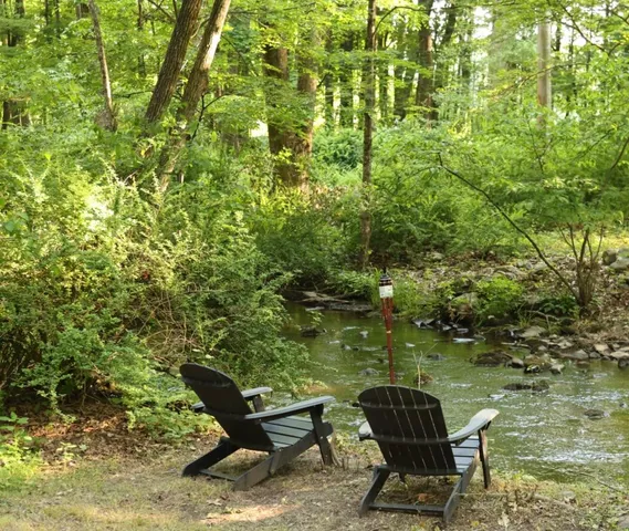 a view of a lake from a yard