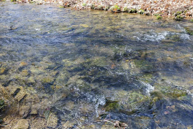 a spacious bedroom with a bed and a couch