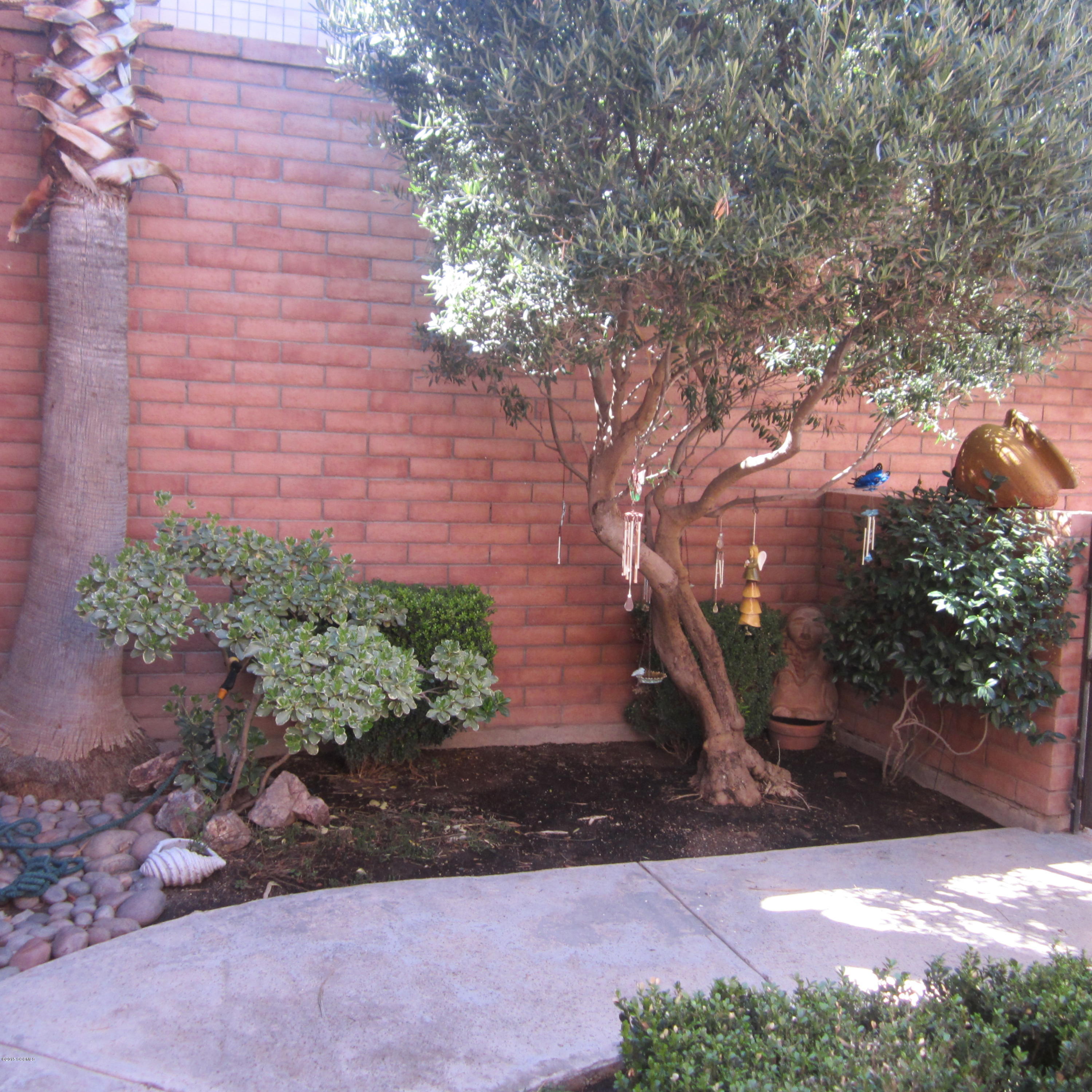 711 West Placita Herman Rivas Nogales, AZ 85621 - Photo 3 of 19